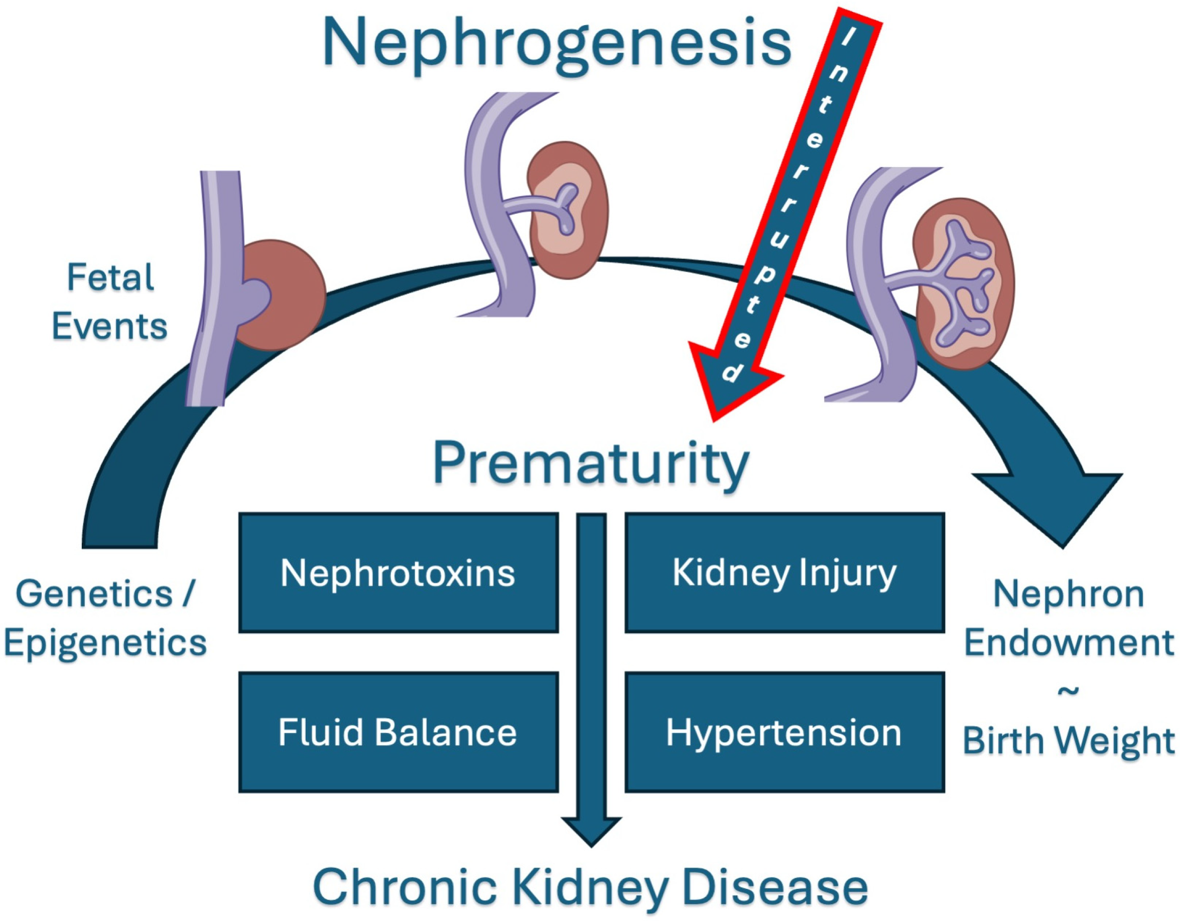 Children 12 00339 g001