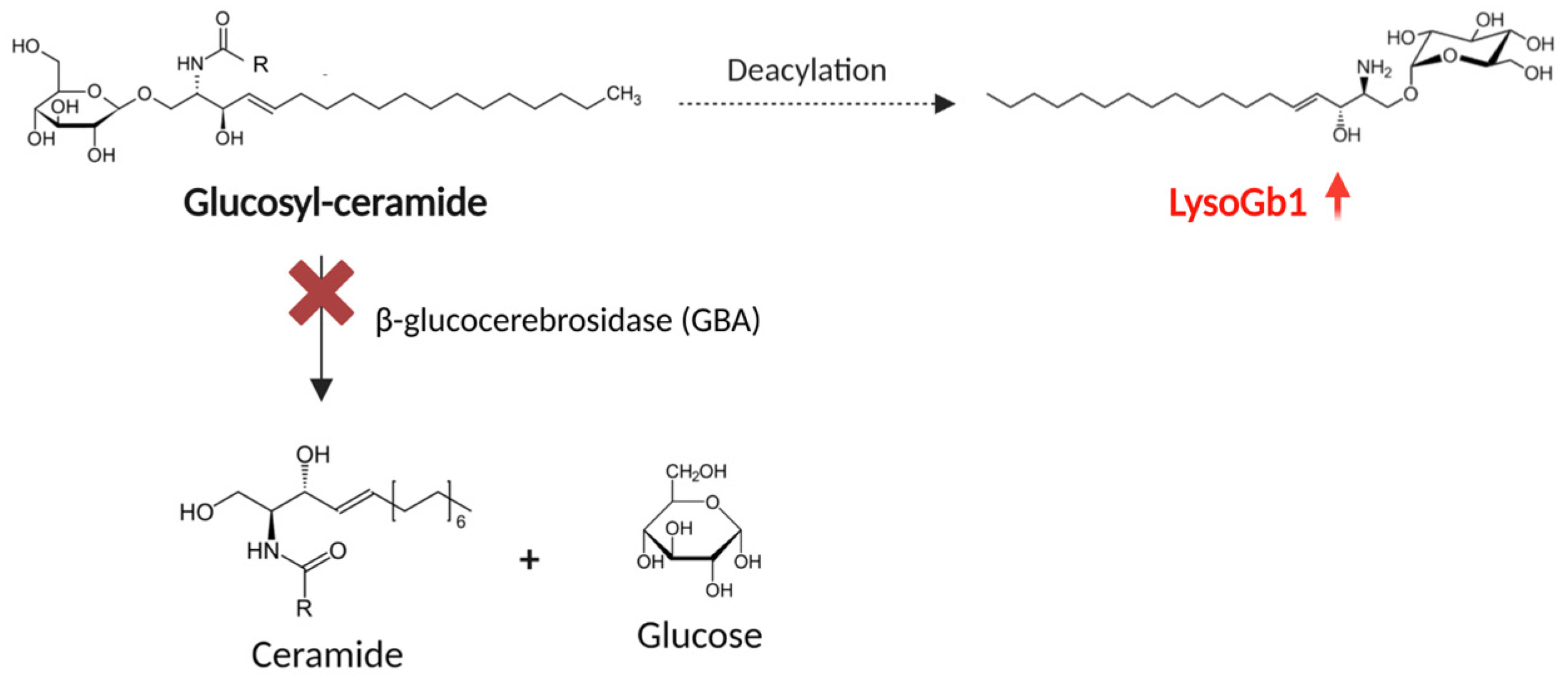 Children 12 00350 g001