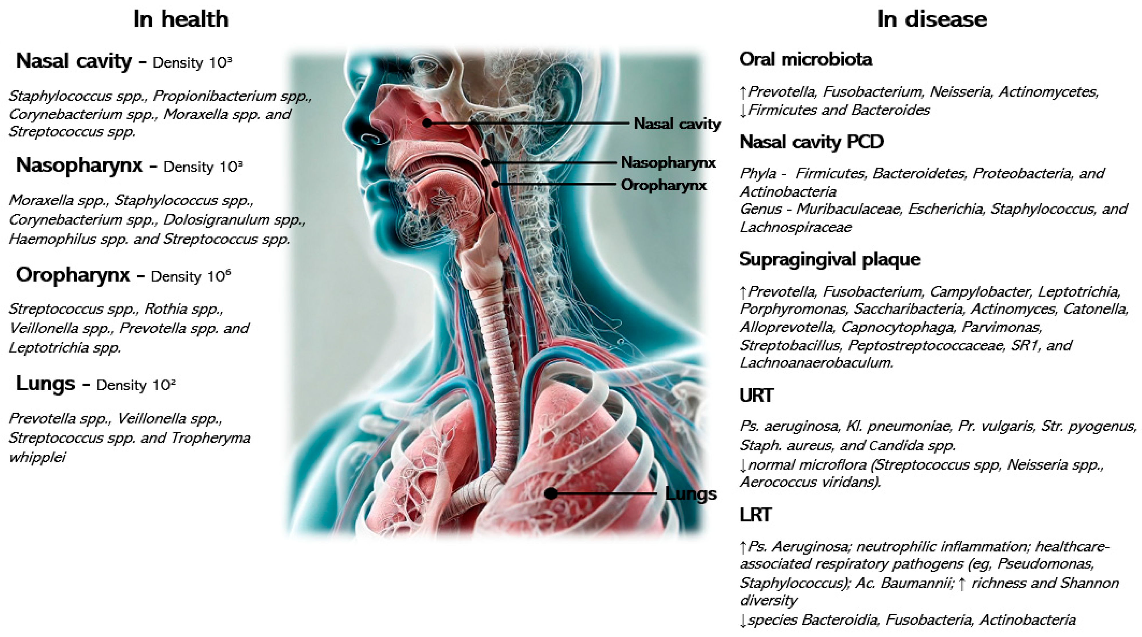 Children 12 00358 g002