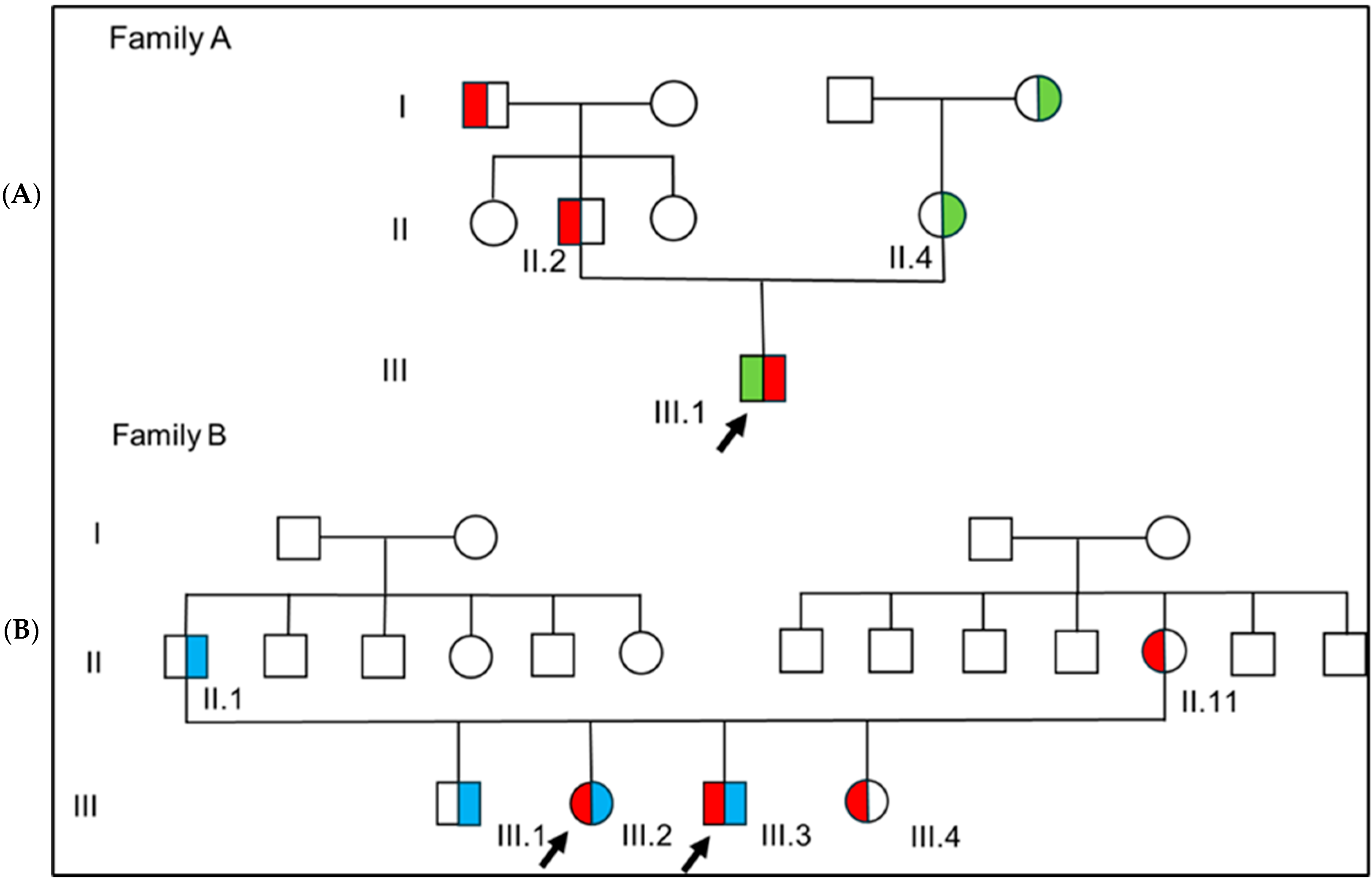Children 12 00364 g001