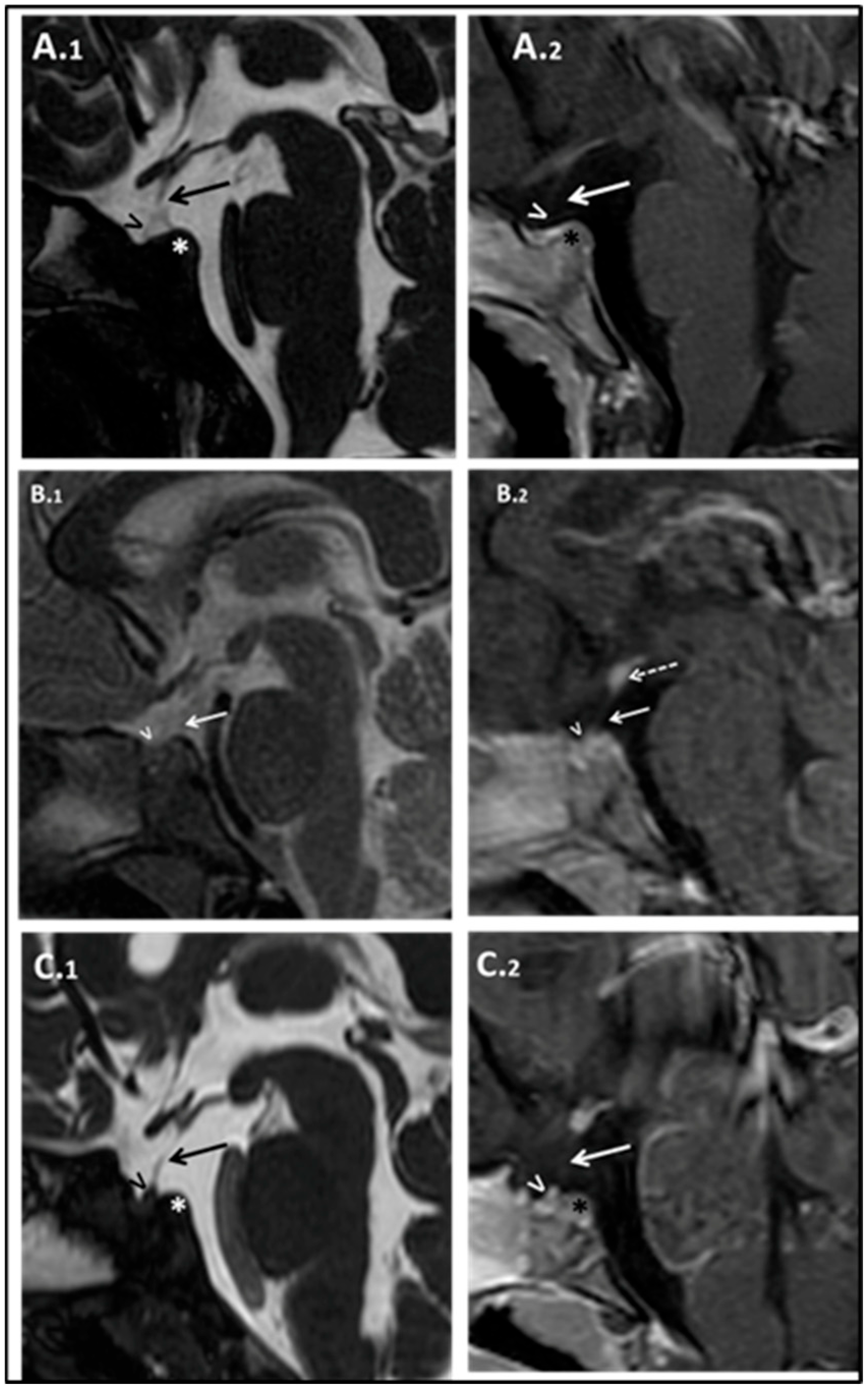 Children 12 00364 g003