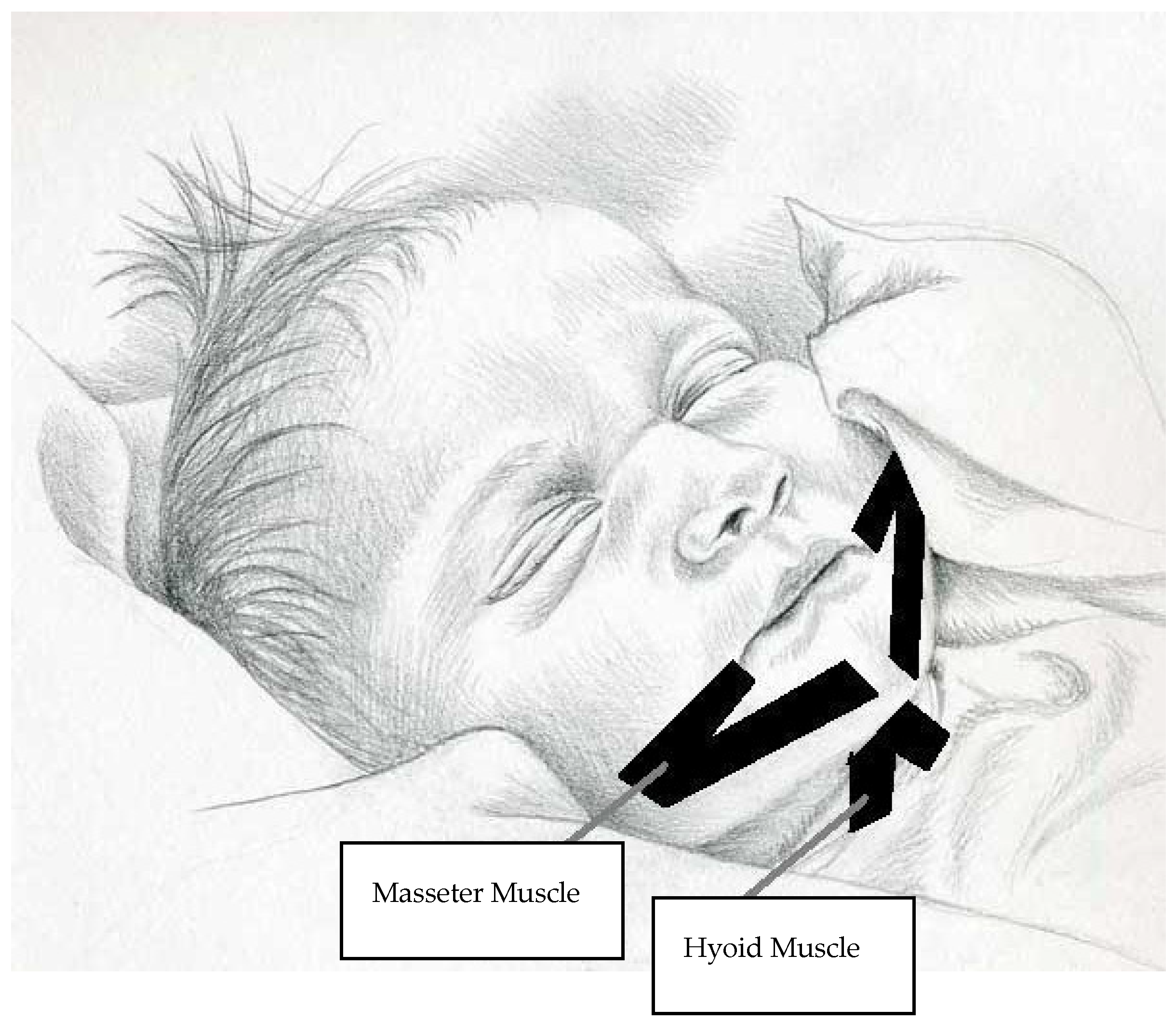 Children 12 00369 g002