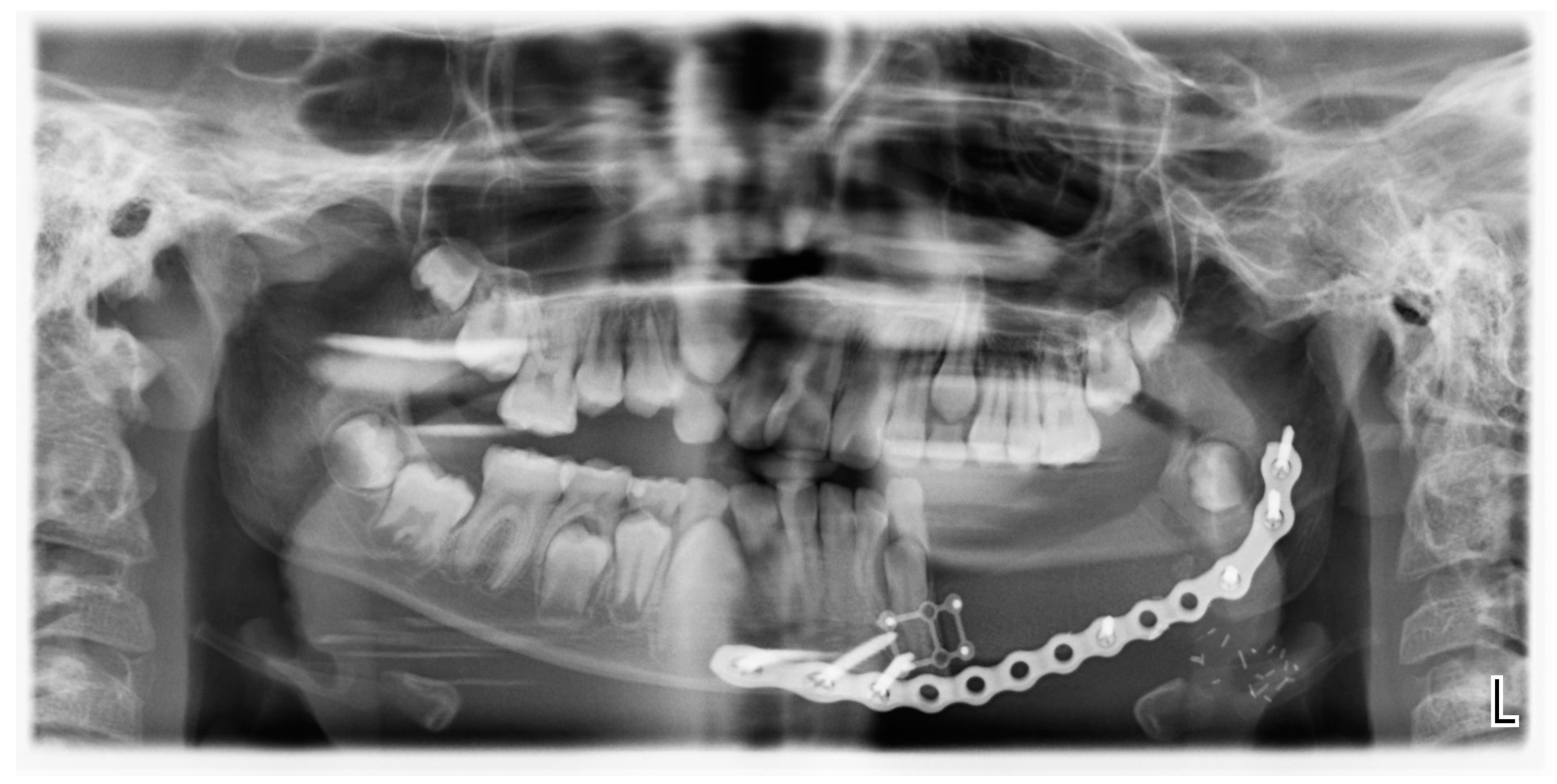 Children 12 00370 g002