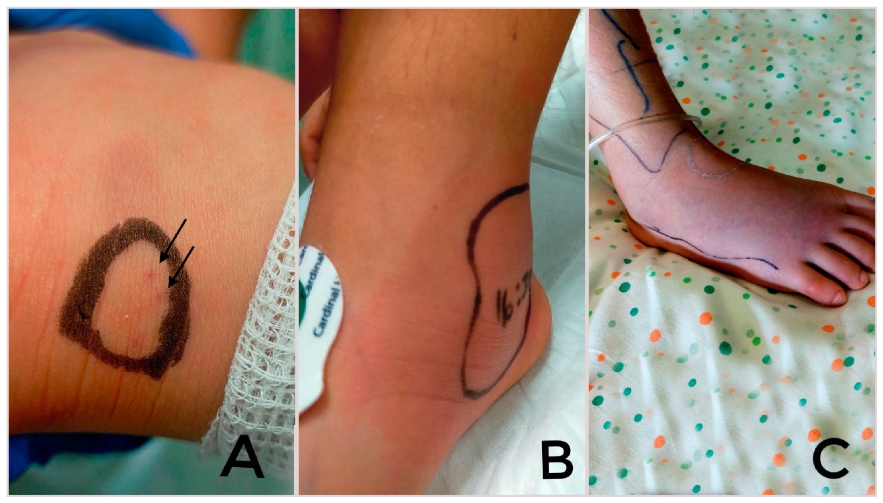 Children 12 00393 g001