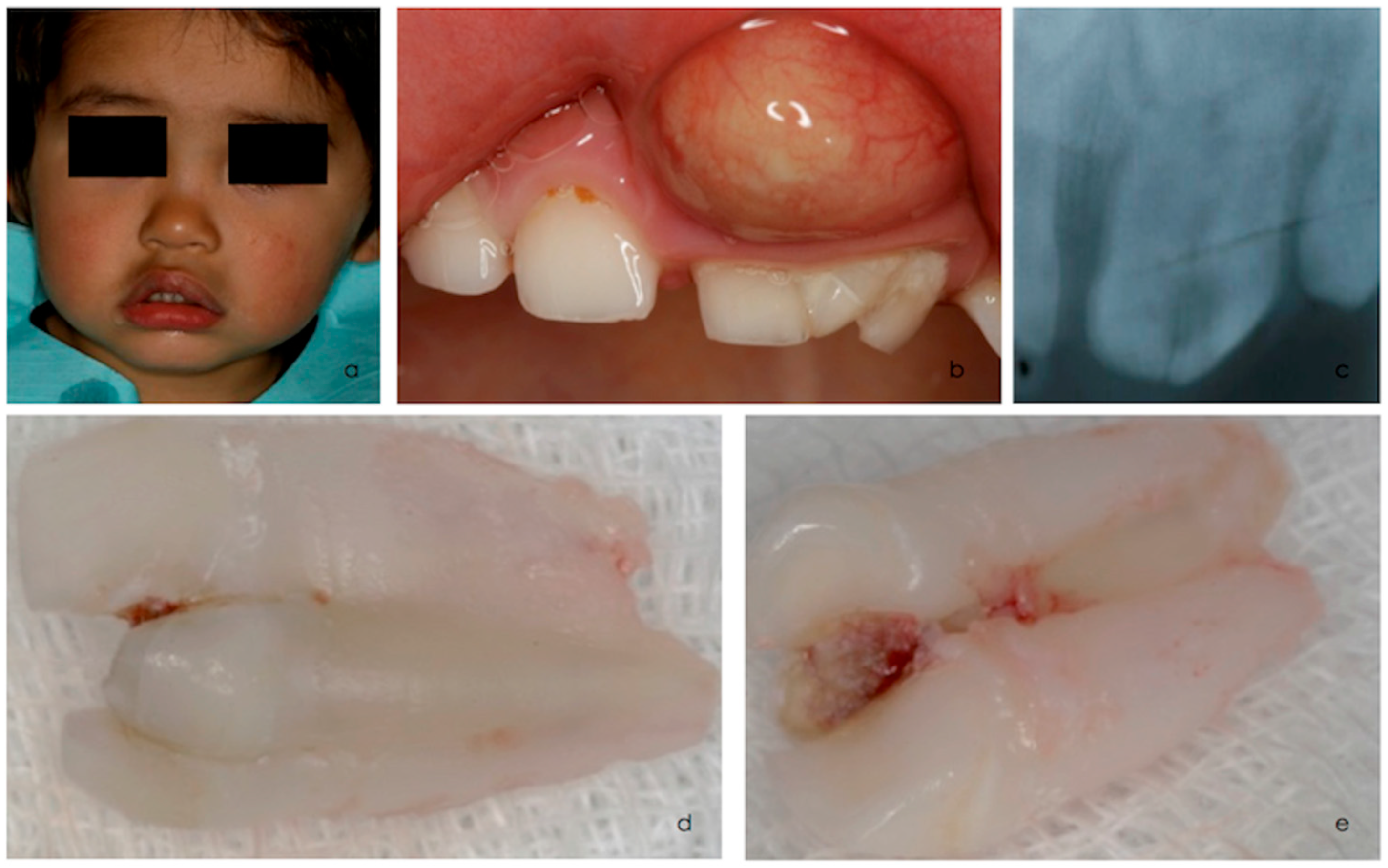 Children 12 00395 g001