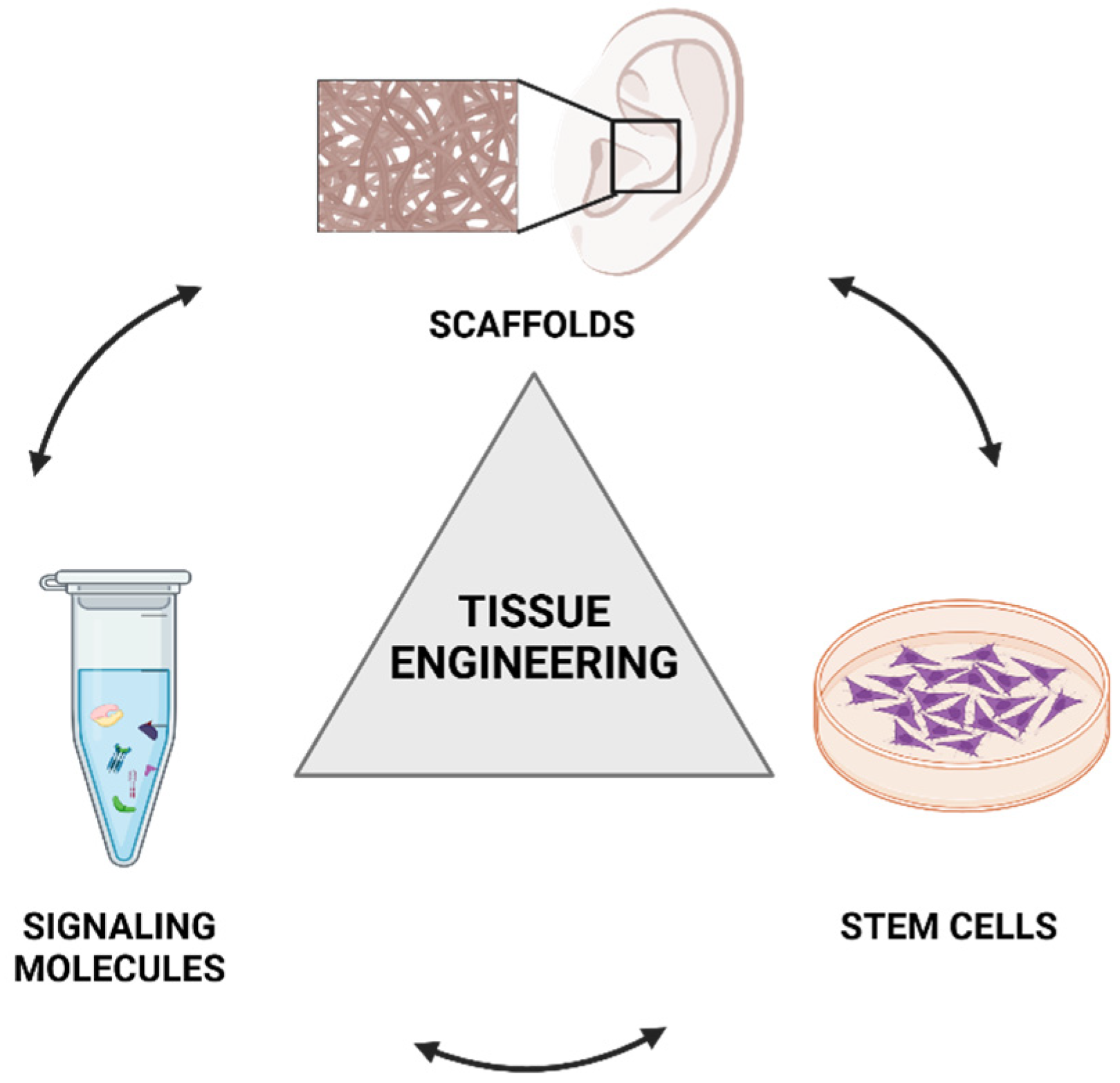 Children 12 00411 g004