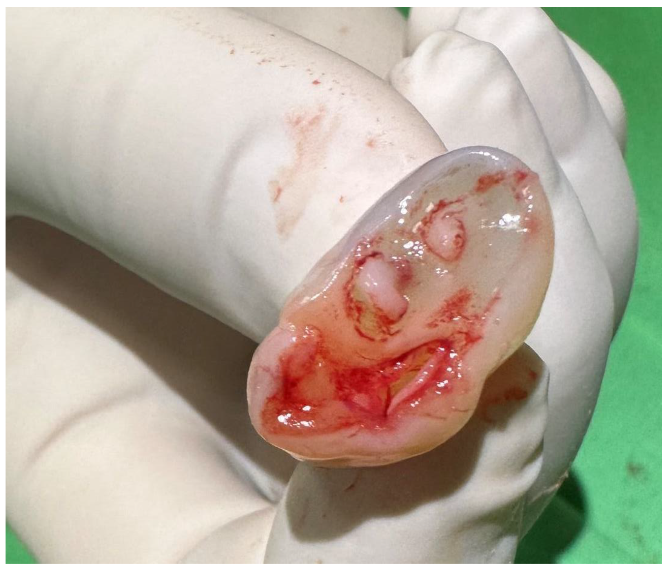 Children 12 00418 g001