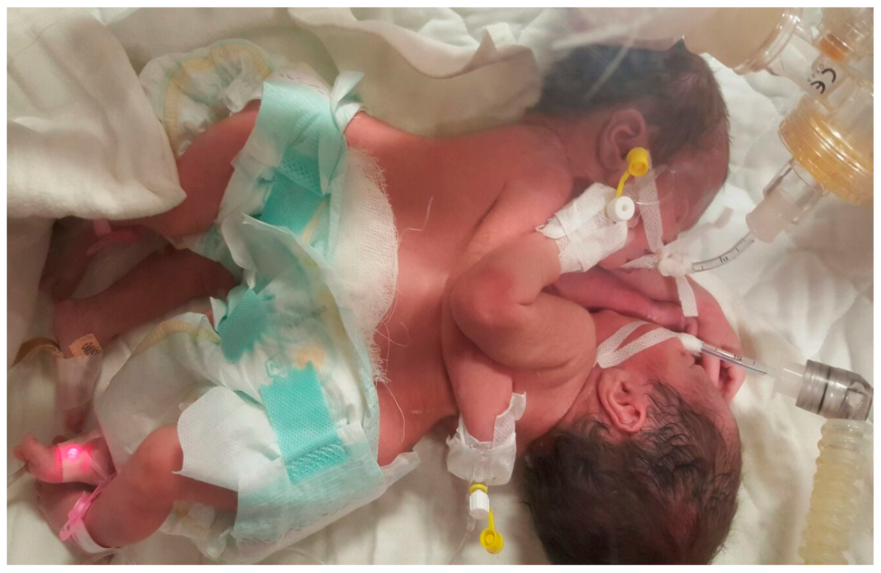 Children 12 00423 g001