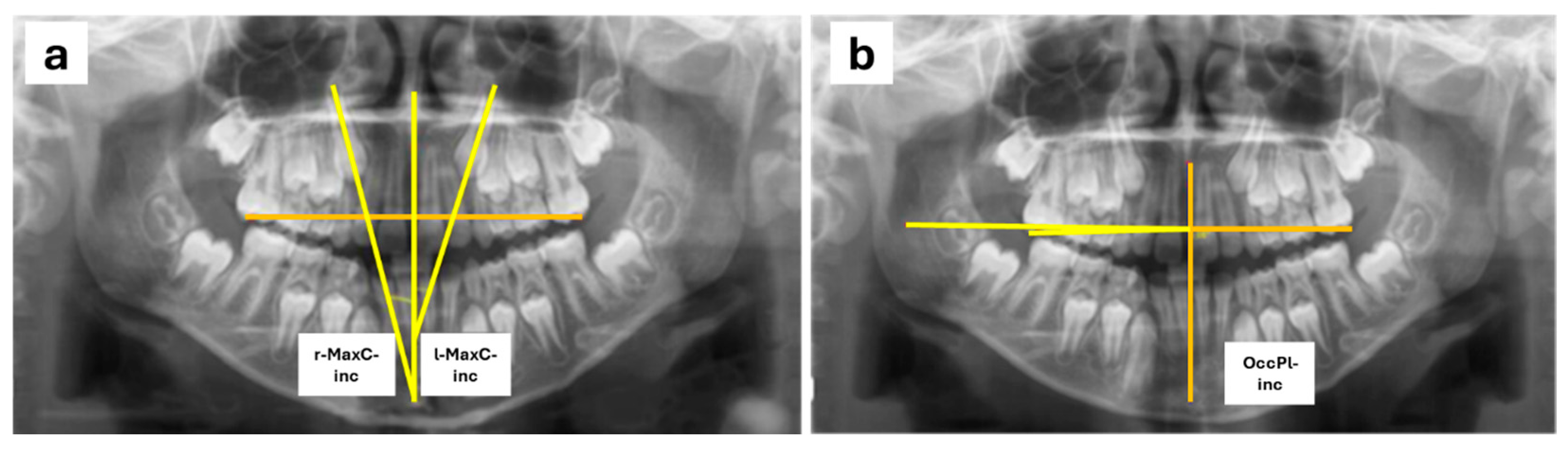 Children 12 00437 g001