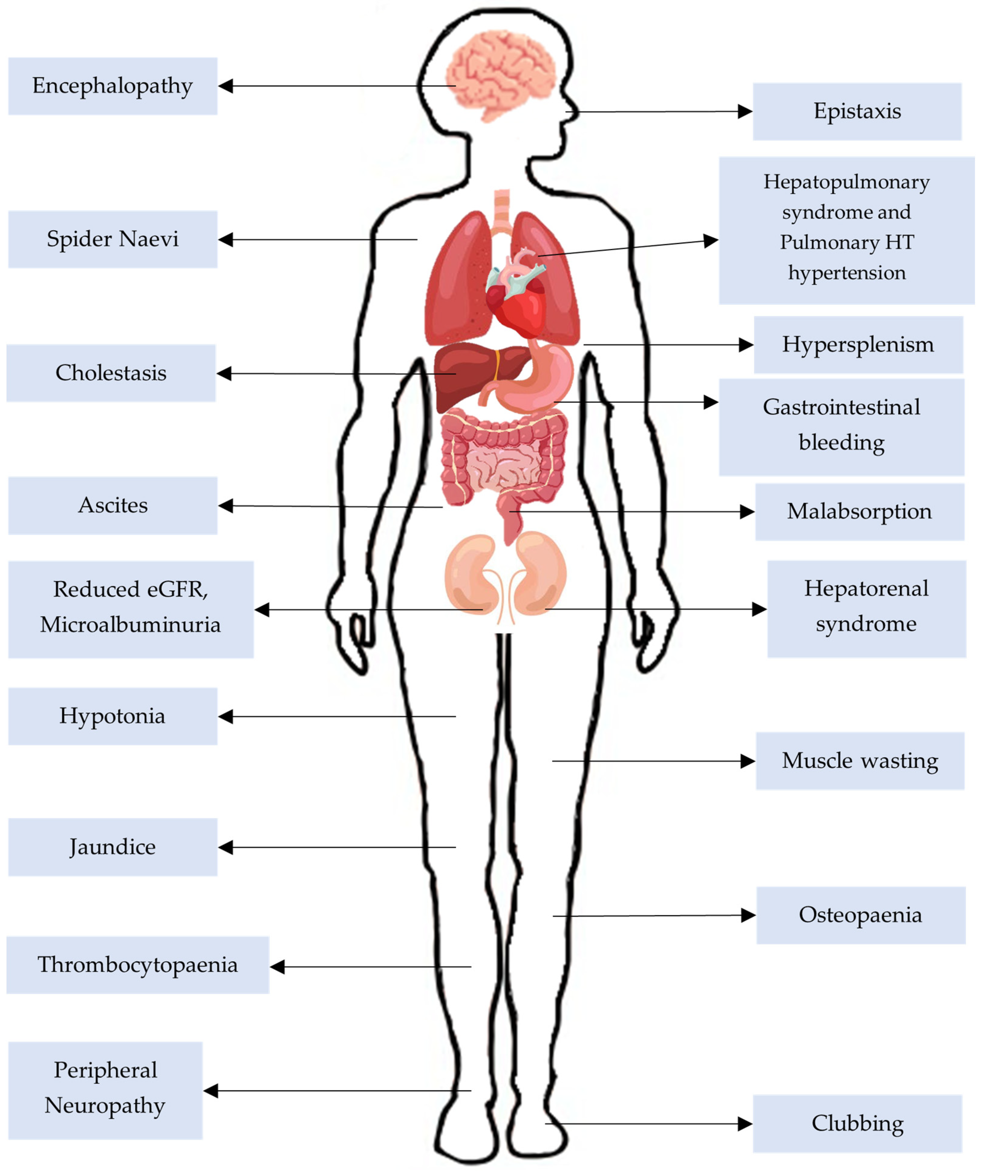 Children 12 00449 g001 Children 12 00449 g001