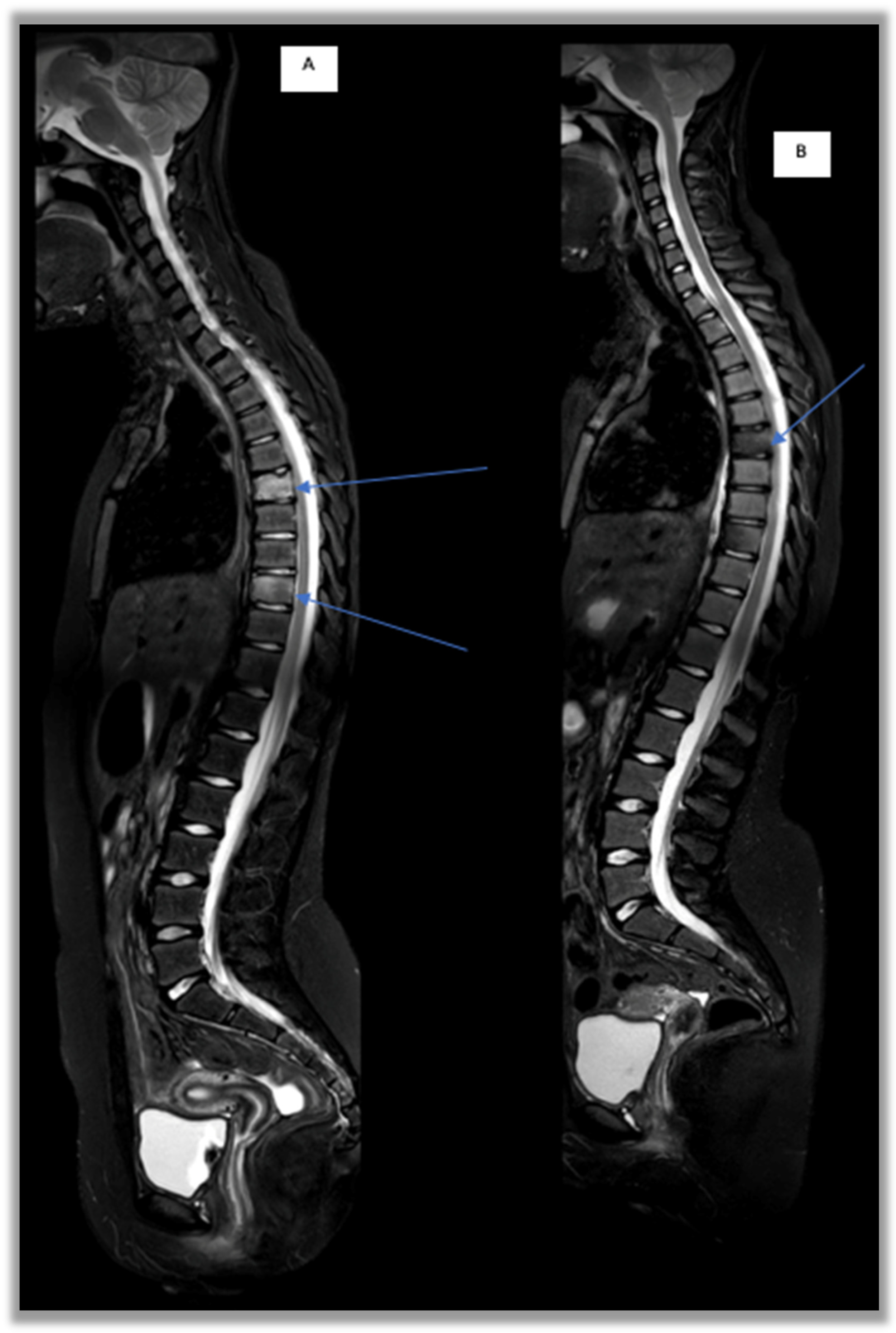 Children 12 00451 g005