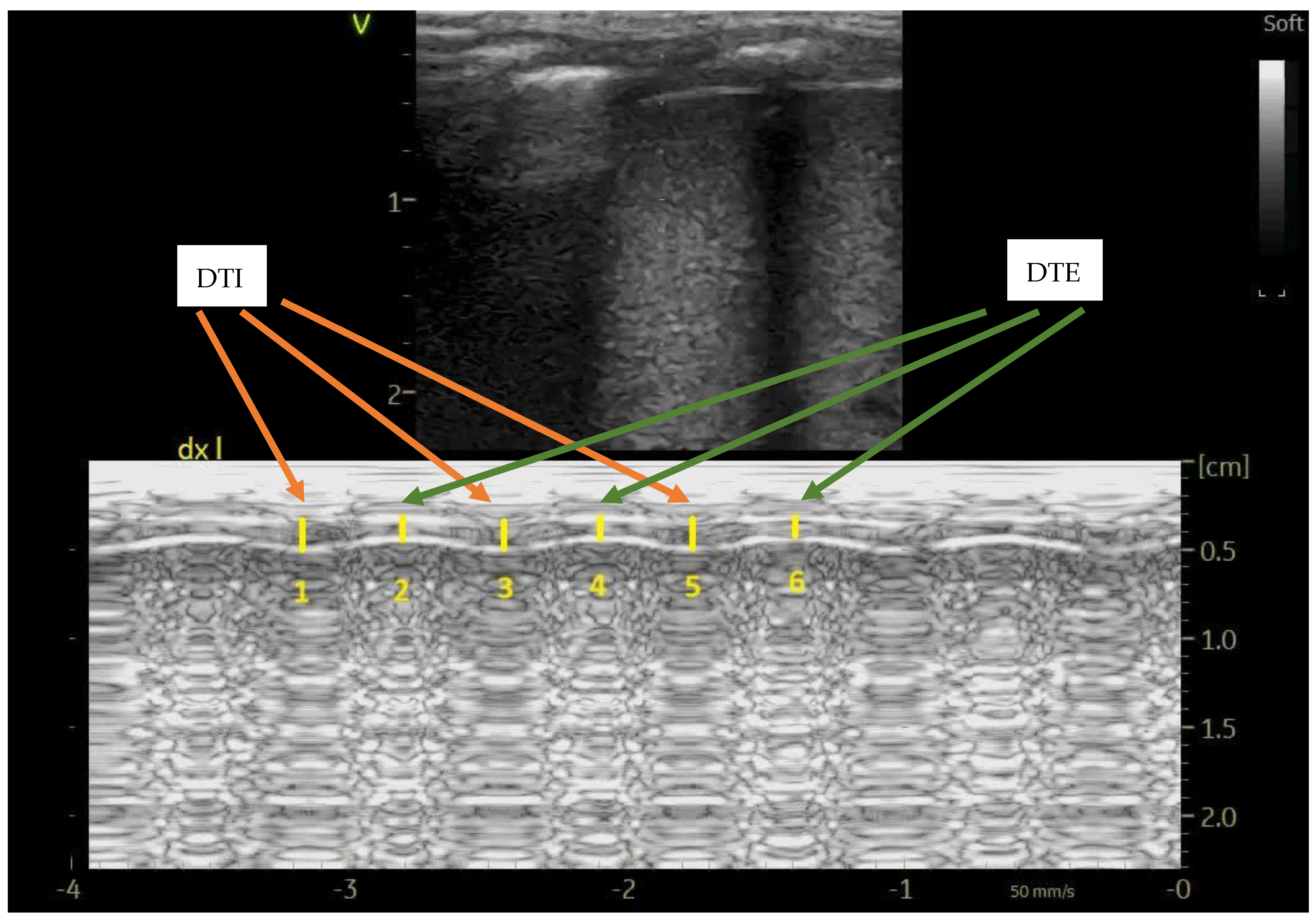 Children 12 00470 g001