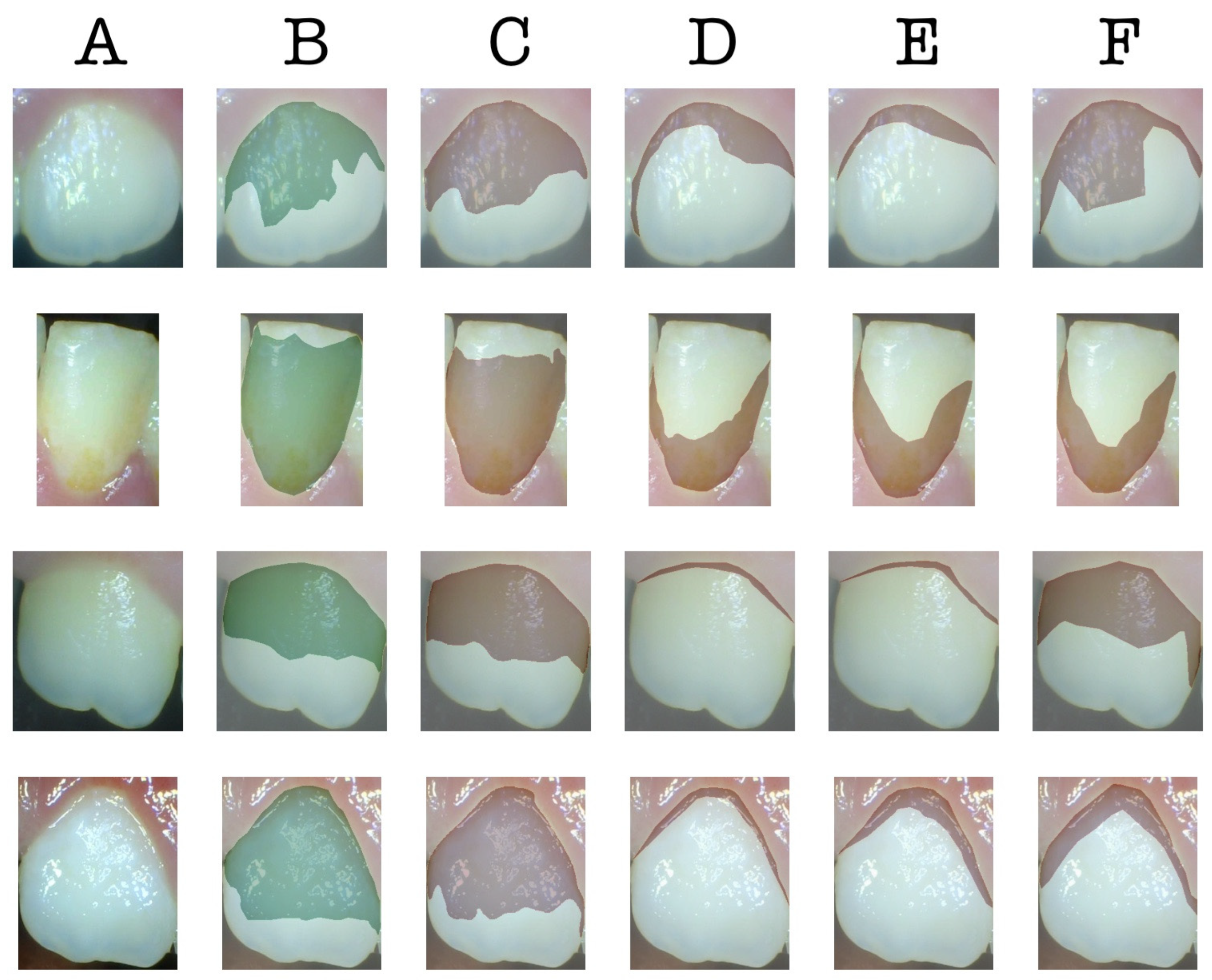 Children 12 00475 g002