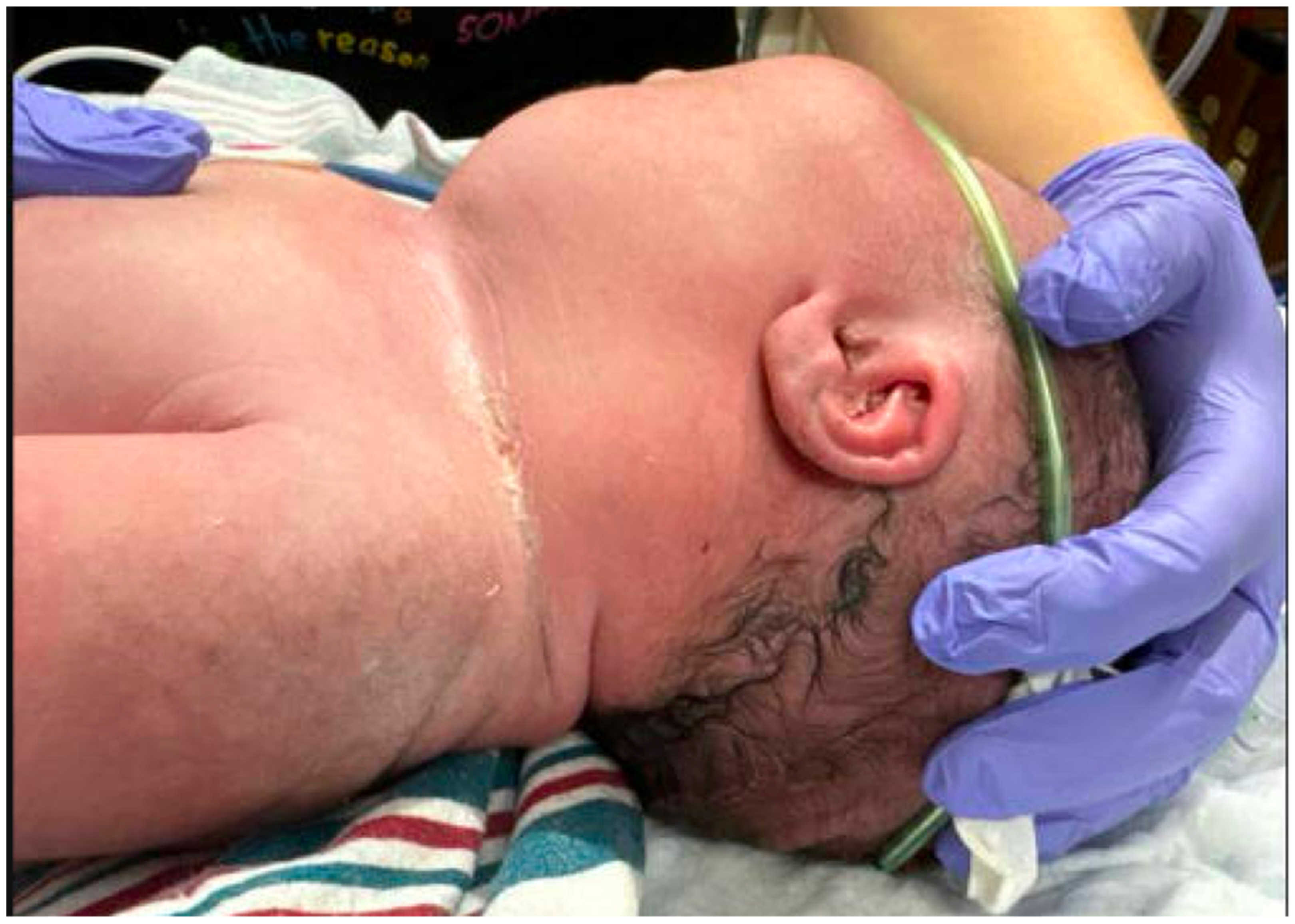 Children 12 00480 g001