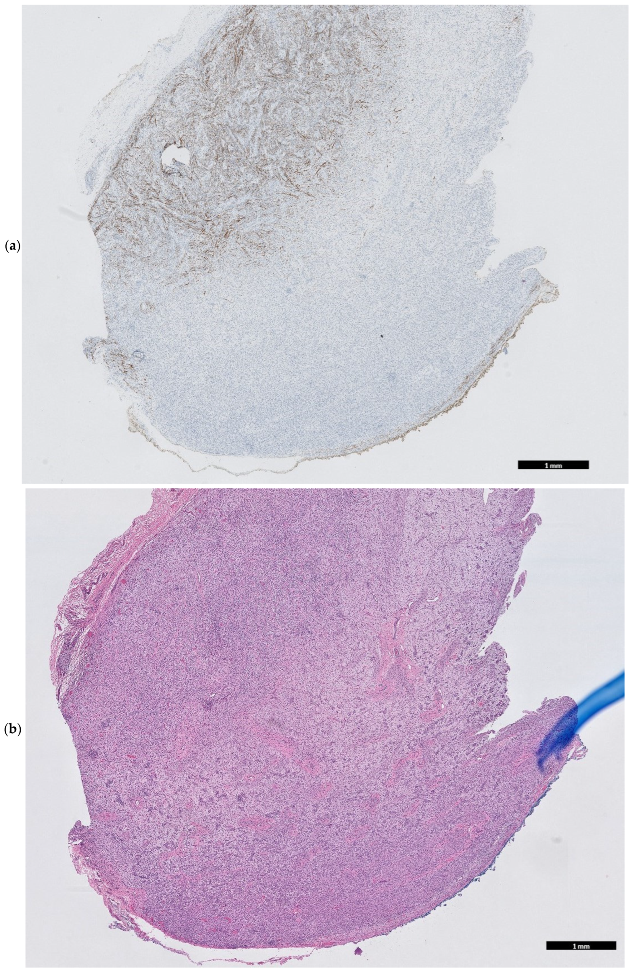 Children 12 00480 g004a