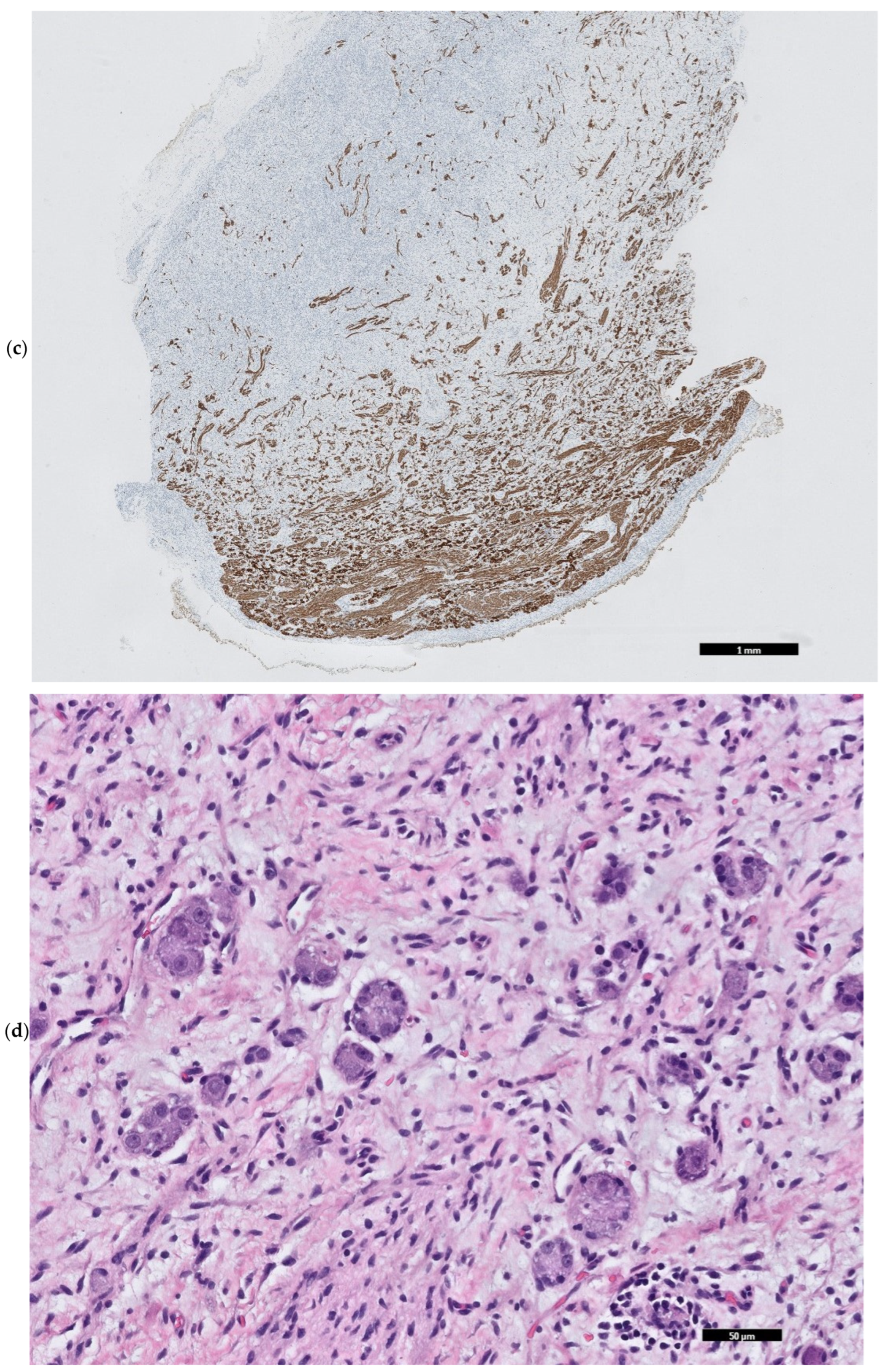 Children 12 00480 g004b