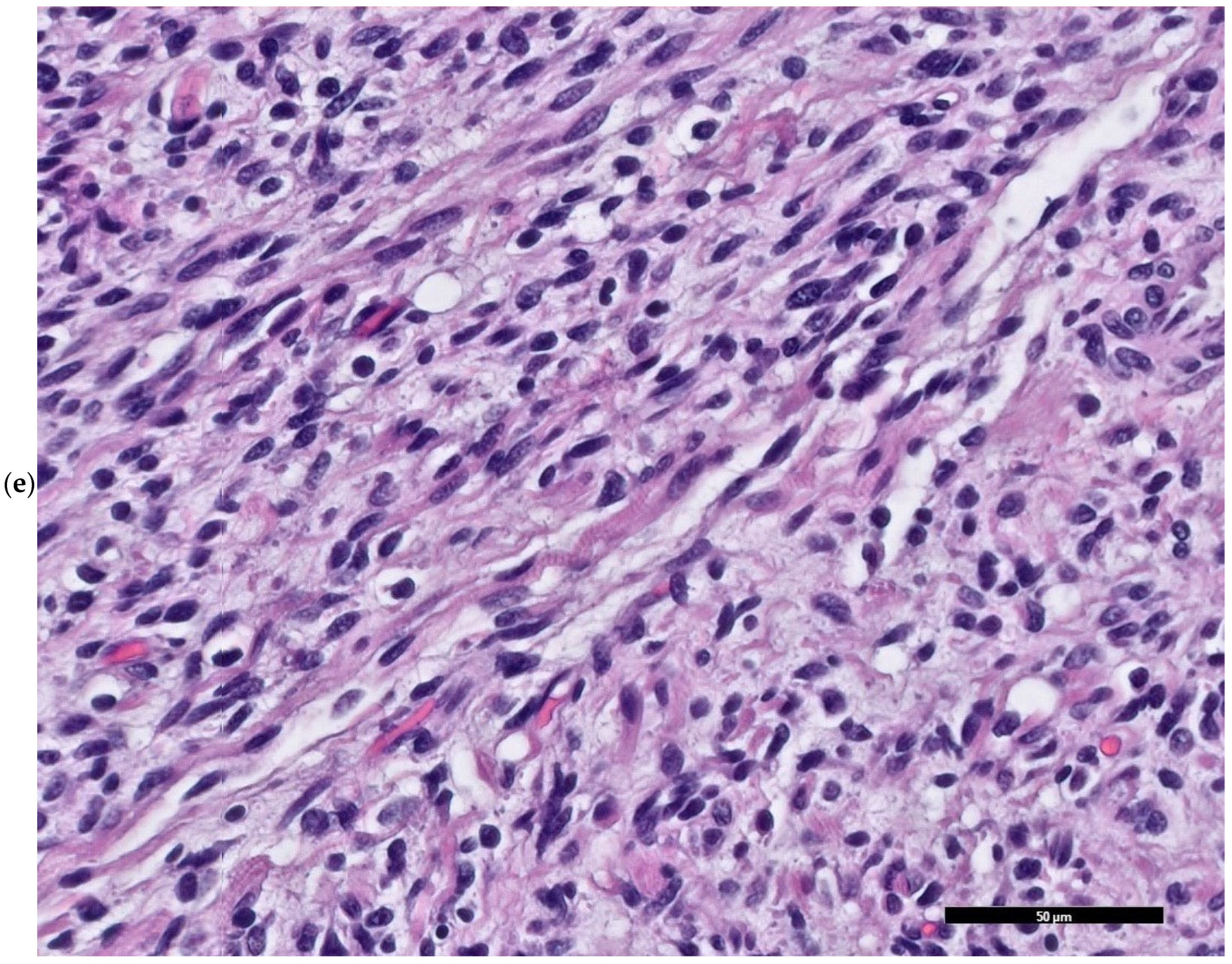 Children 12 00480 g004c