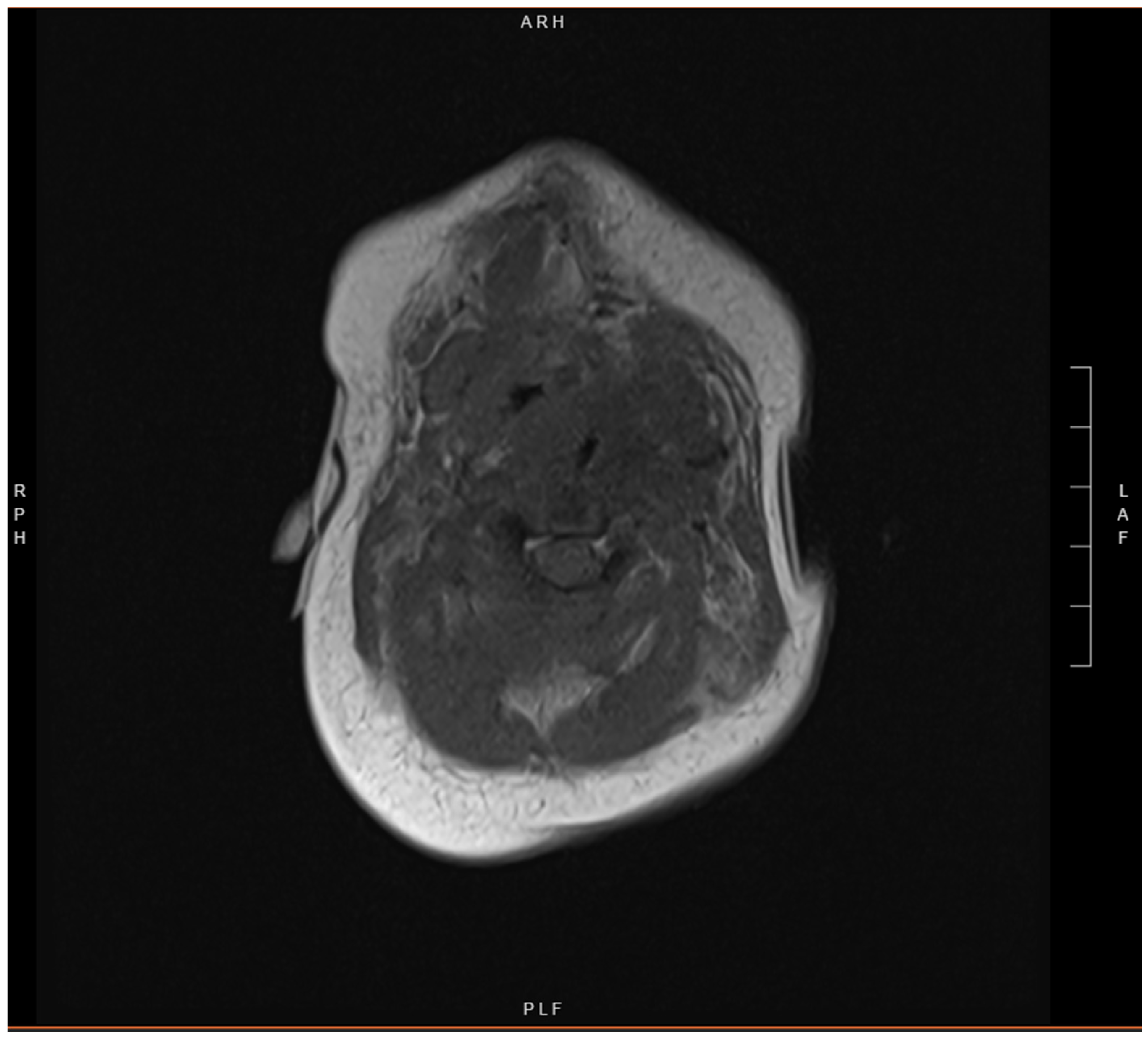 Children 12 00480 g005