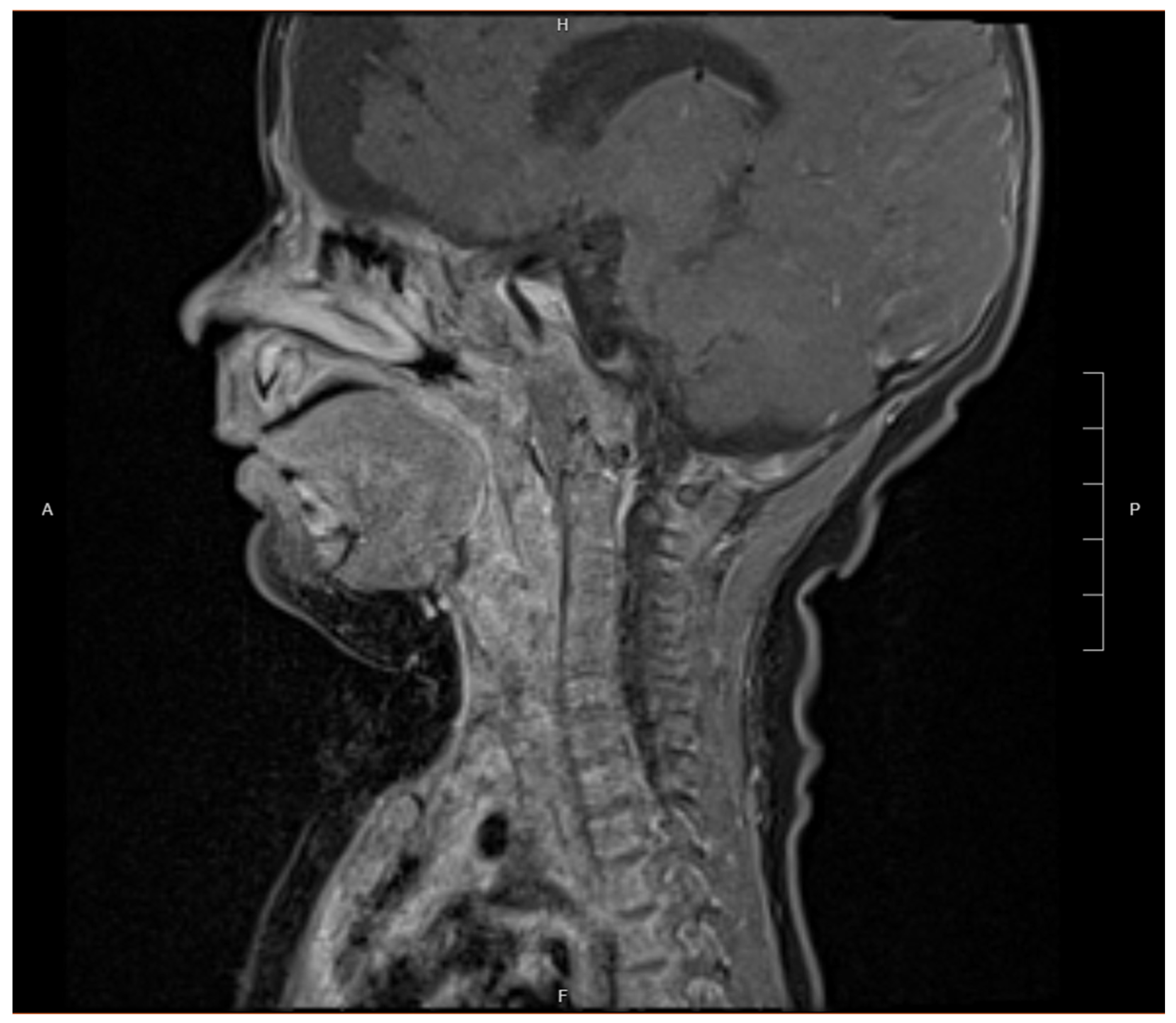 Children 12 00480 g006