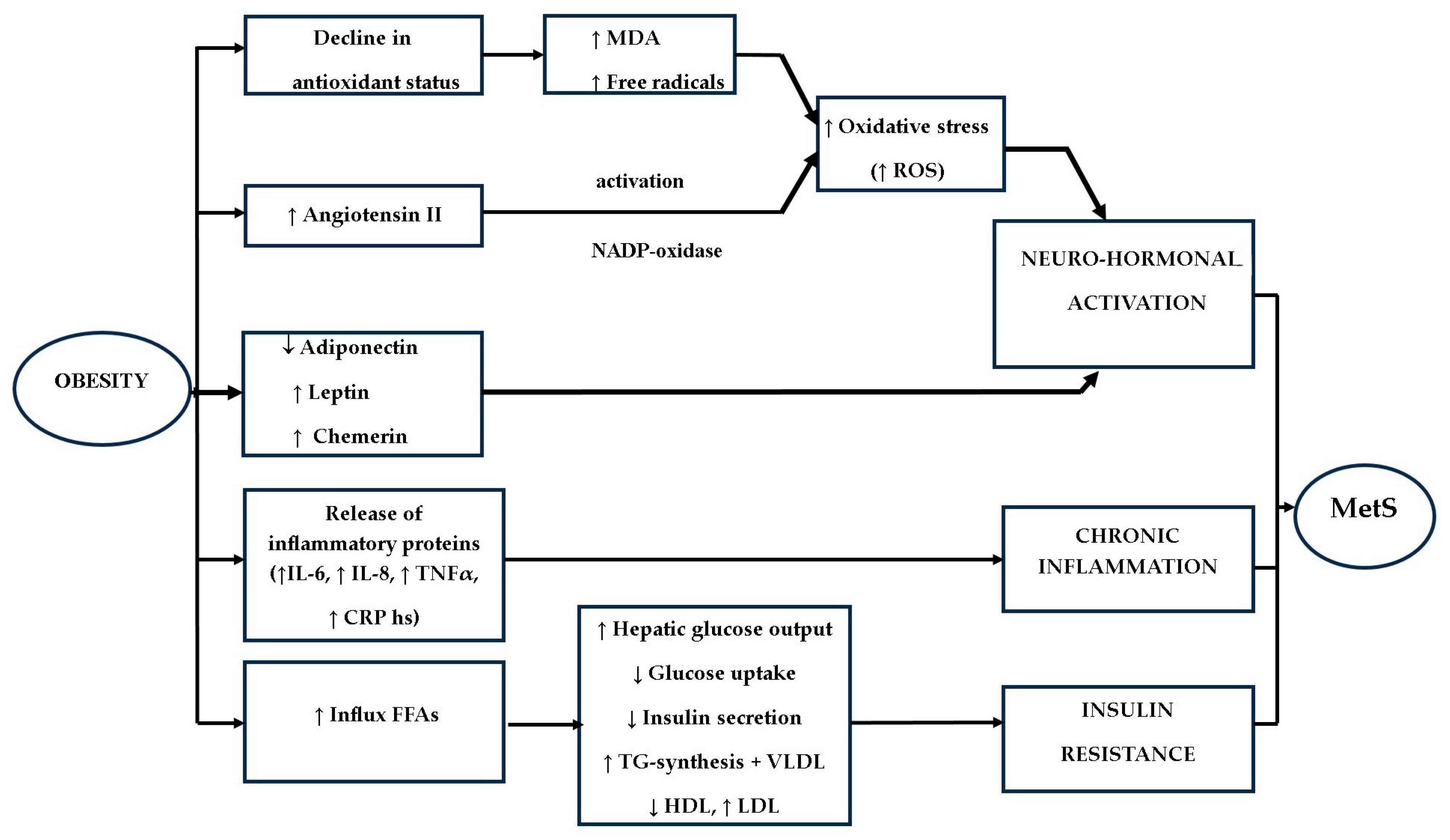 Children 12 00482 g002 Children 12 00482 g002