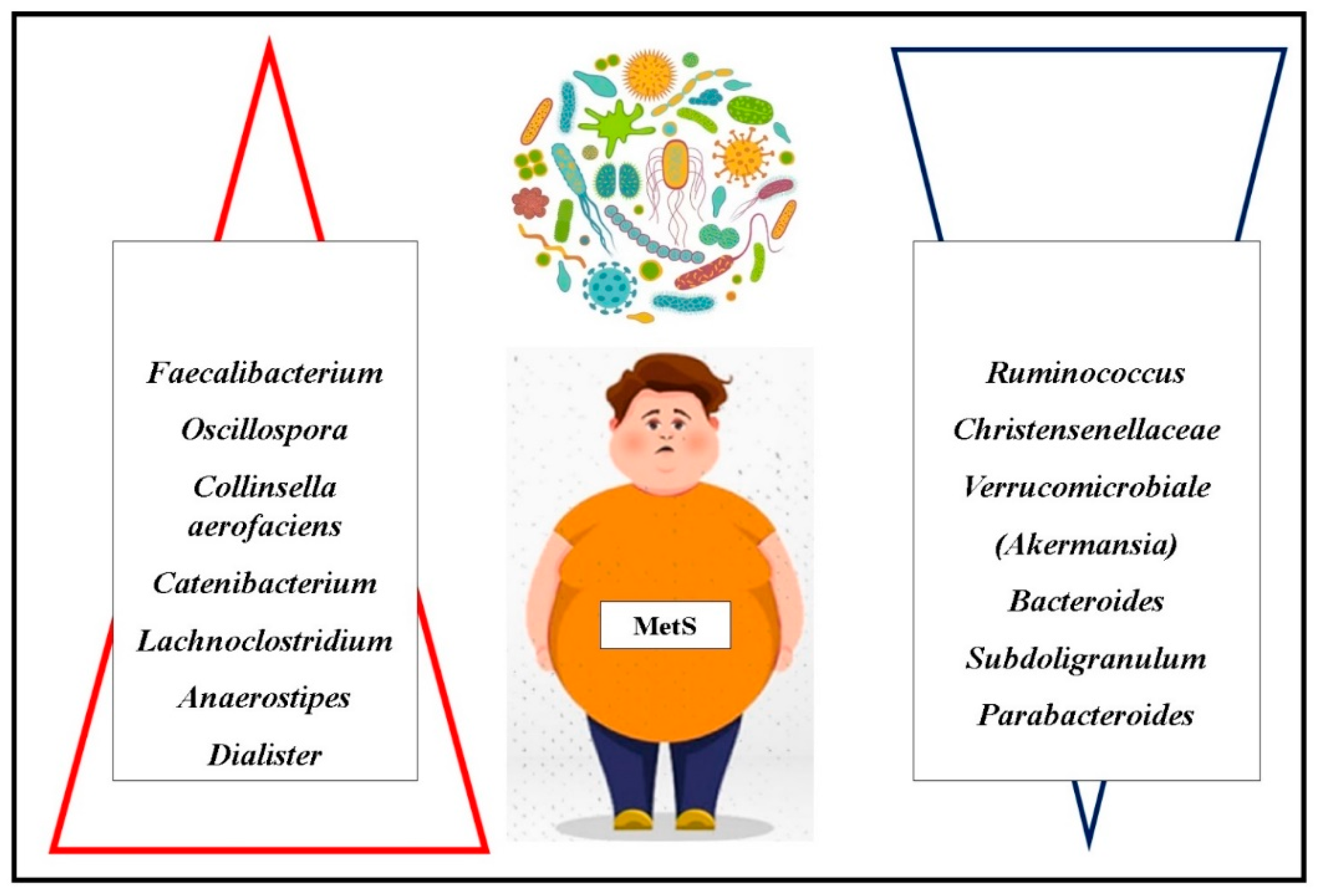 Children 12 00482 g003 Children 12 00482 g003