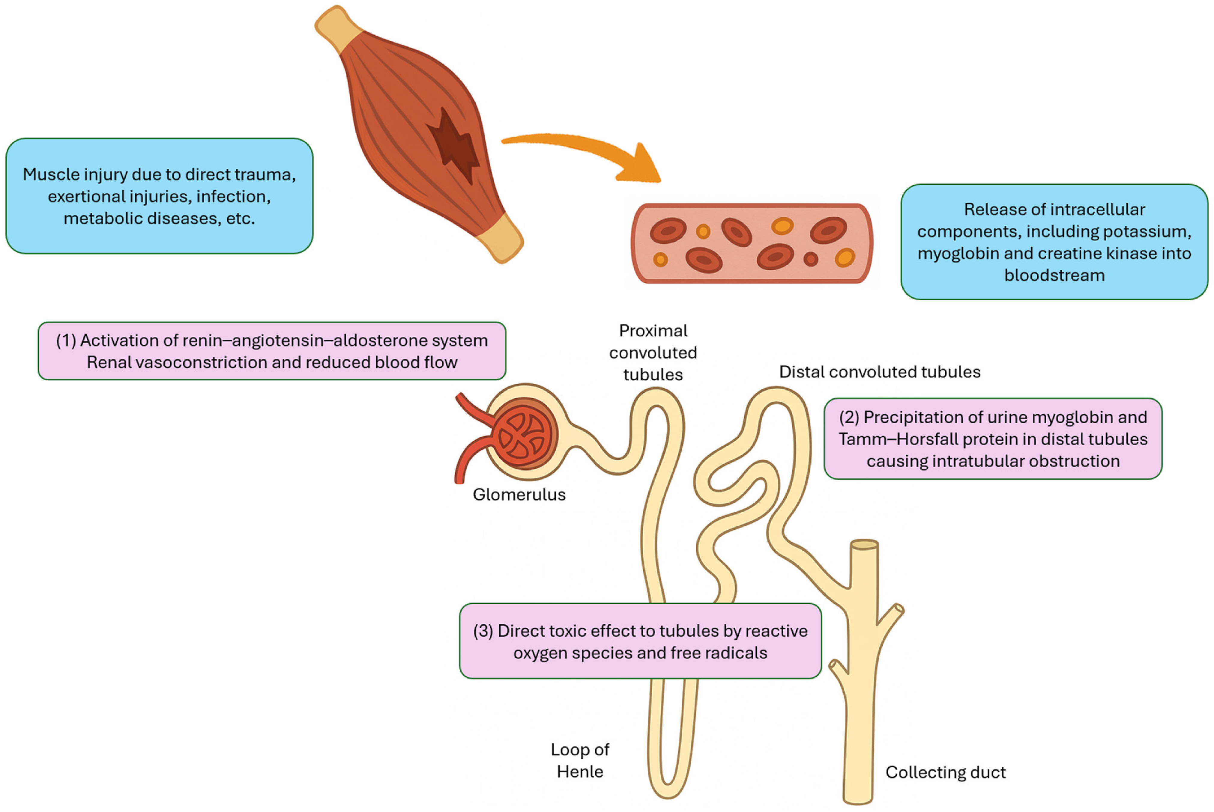 Children 12 00492 g001