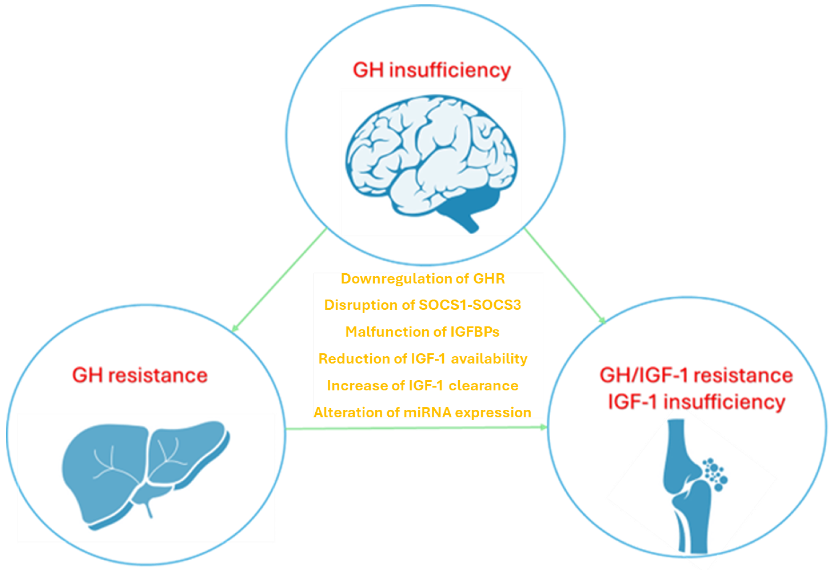 Children 12 00495 g001 Children 12 00495 g001