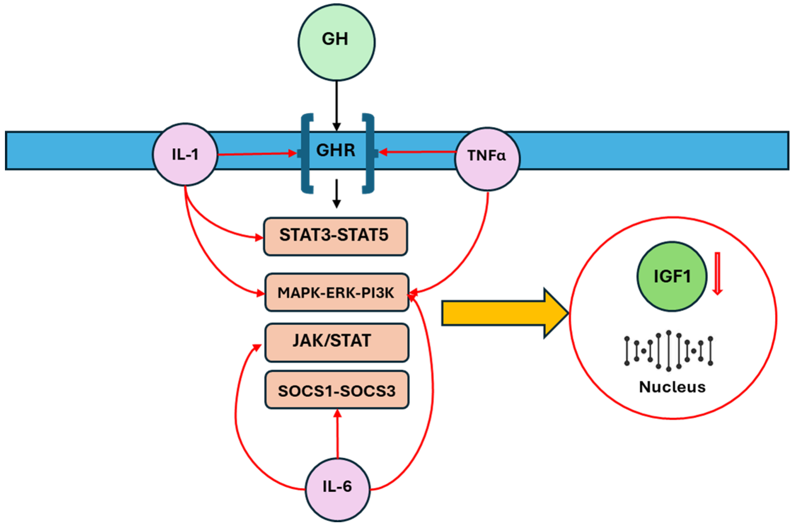 Children 12 00495 g002 Children 12 00495 g002