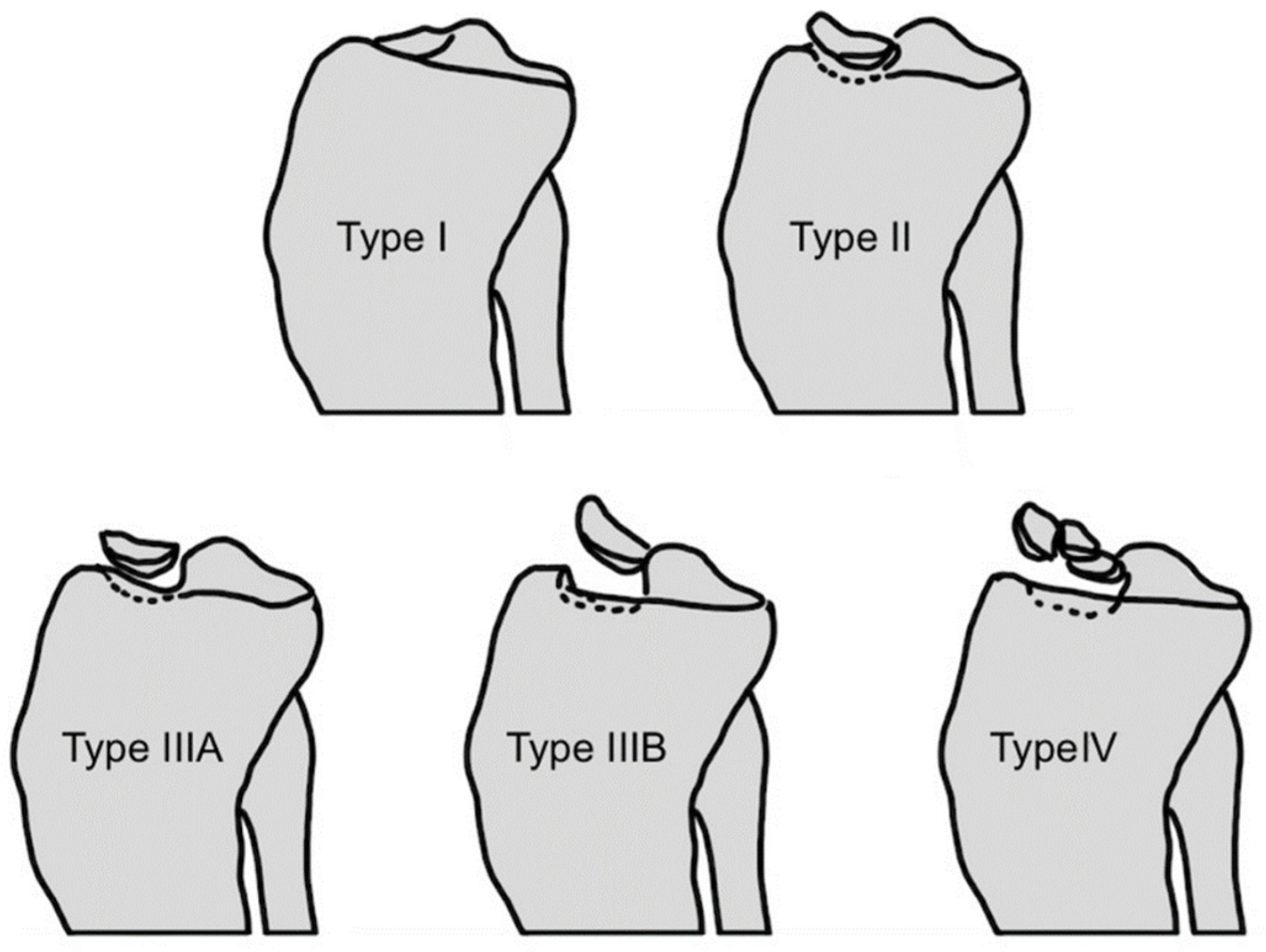 Children 12 00499 g001