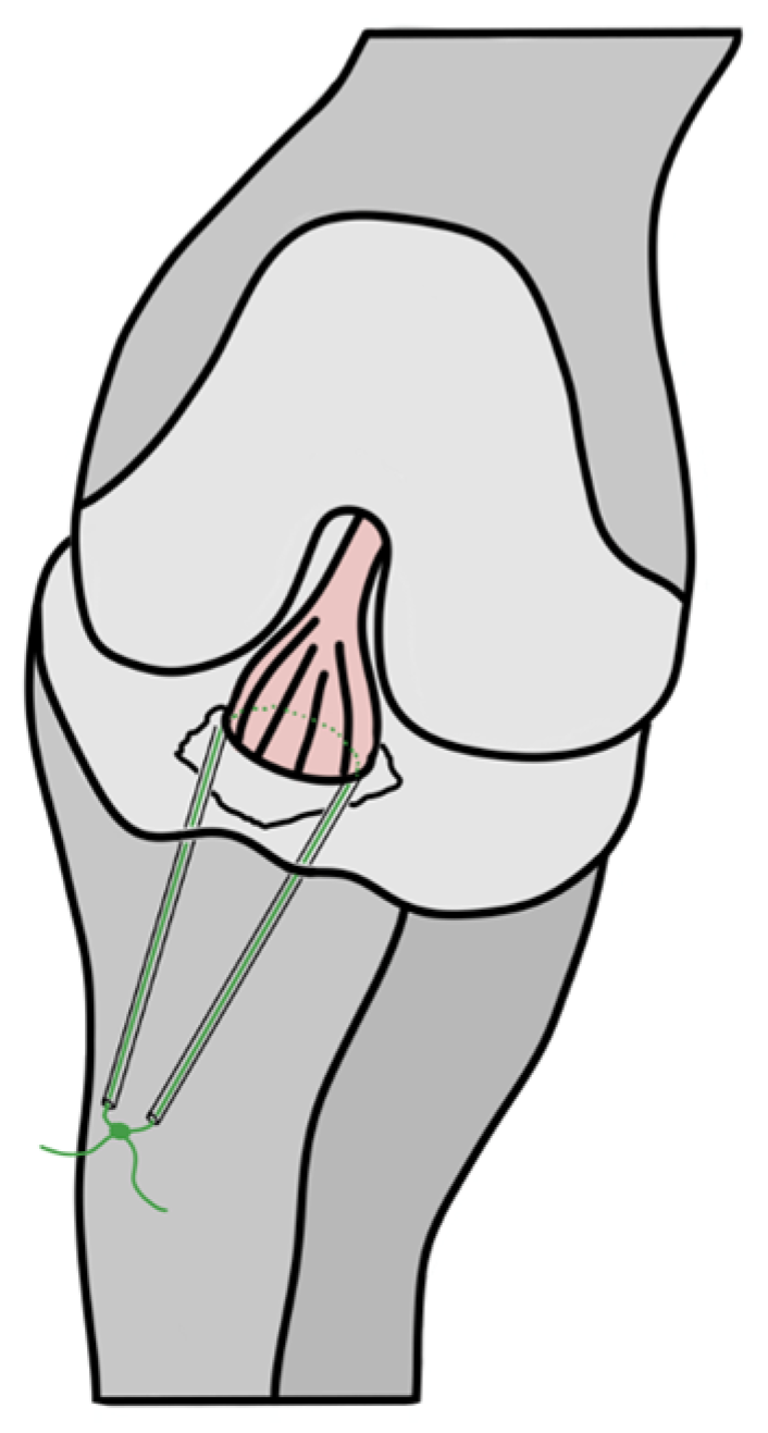 Children 12 00499 g003