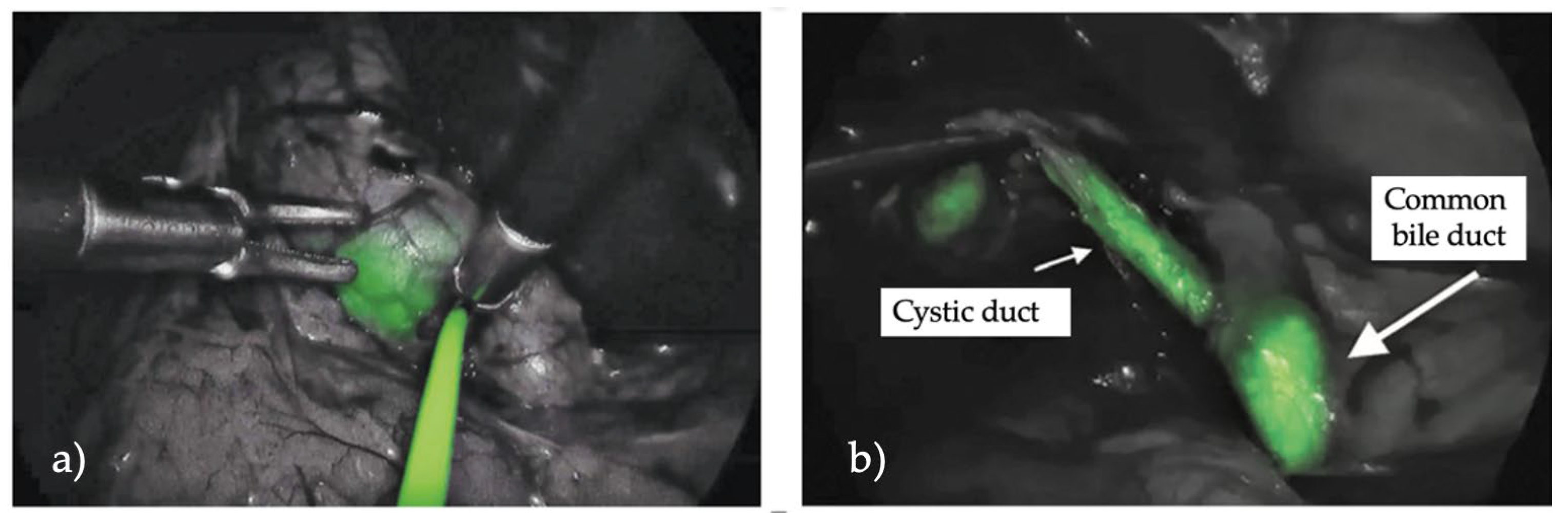 Children 12 00515 g003