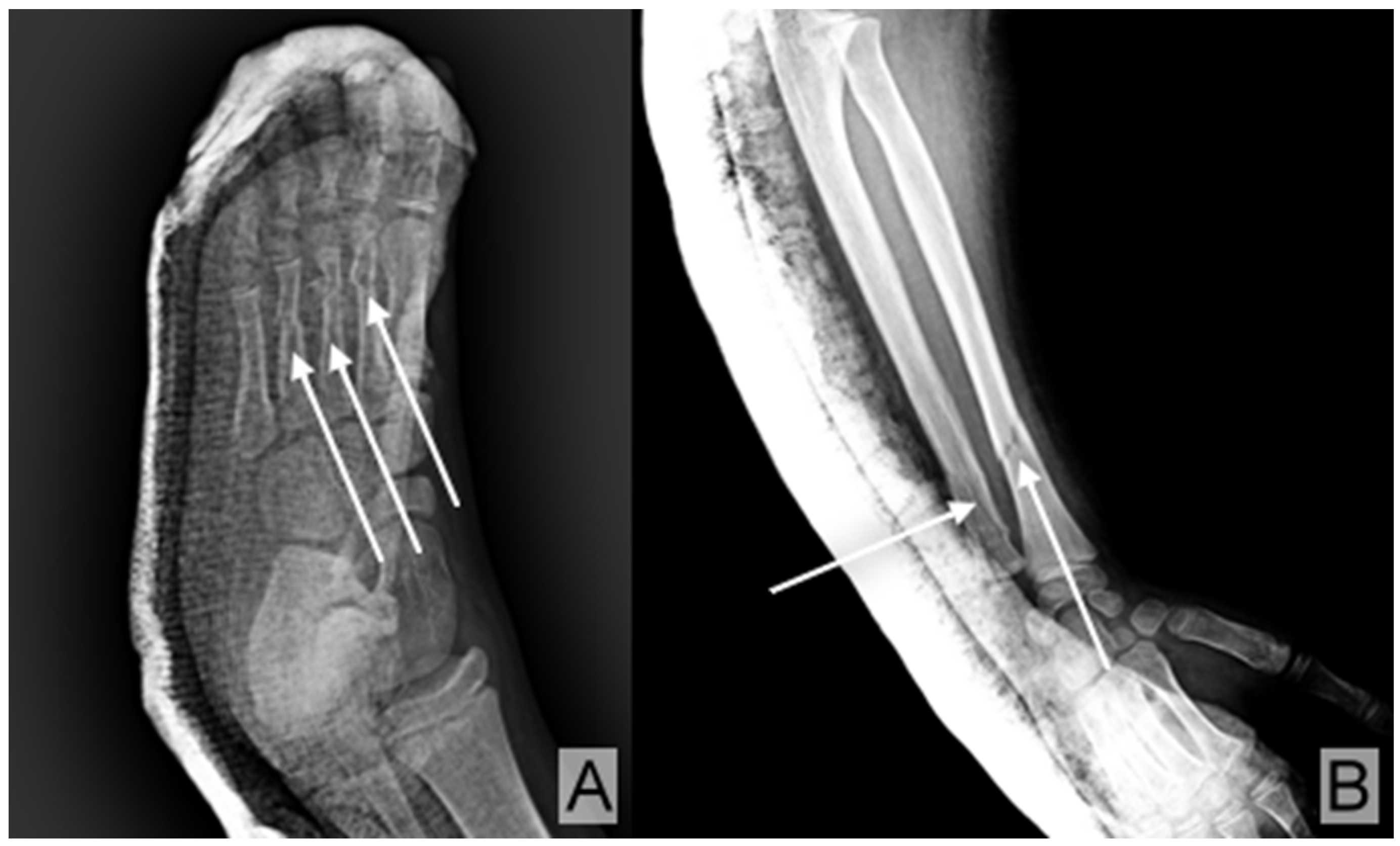 Children 12 00516 g001