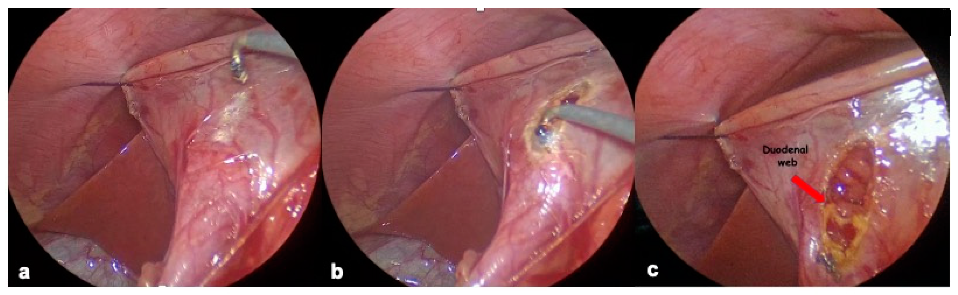 Children 12 00517 g005