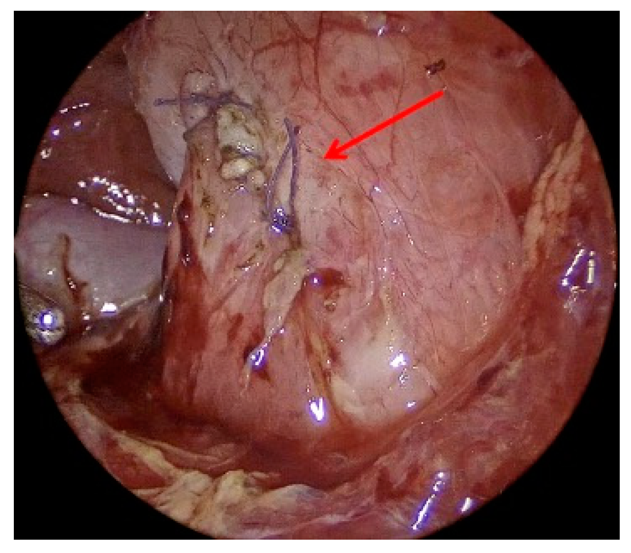 Children 12 00517 g007