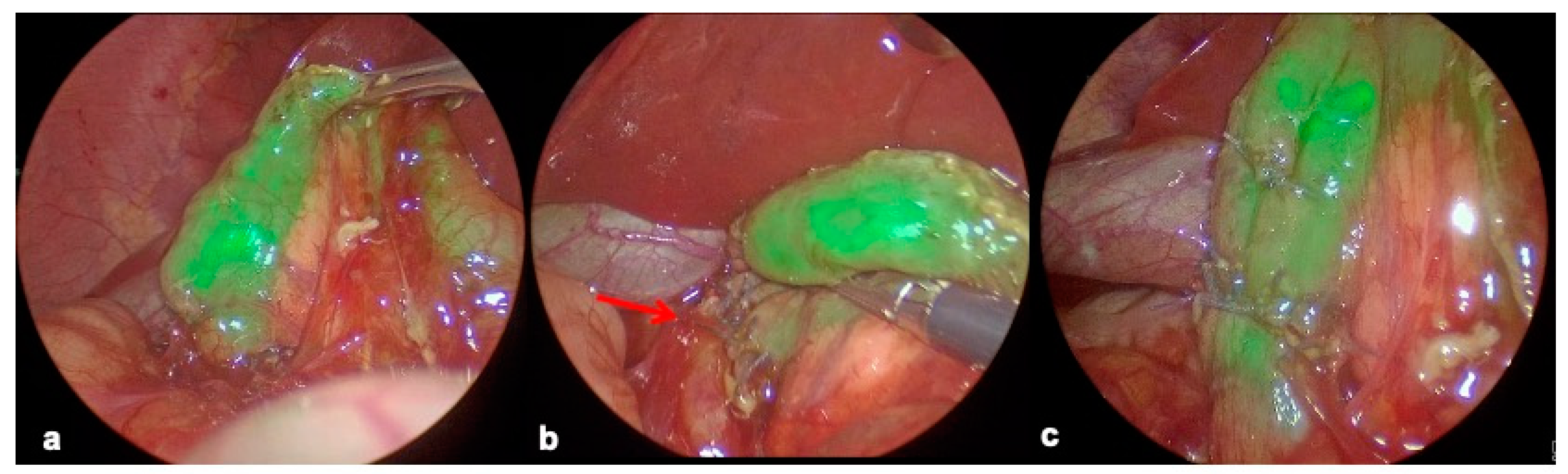 Children 12 00517 g008