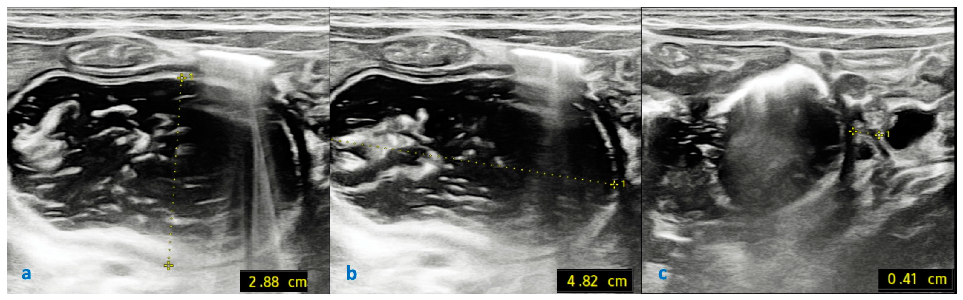 Children 12 00517 g010