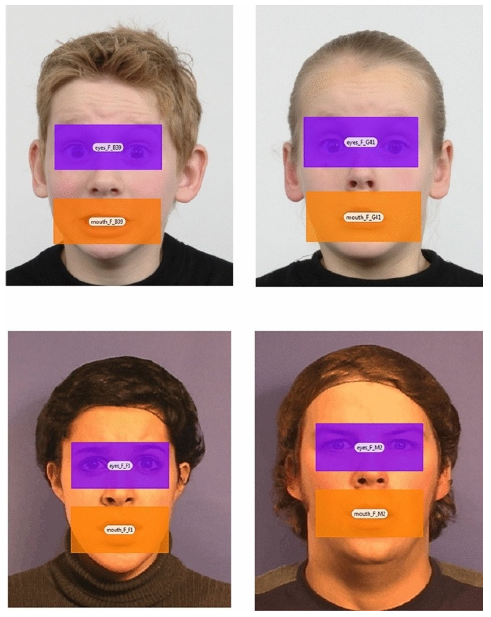 Children 12 00524 g001