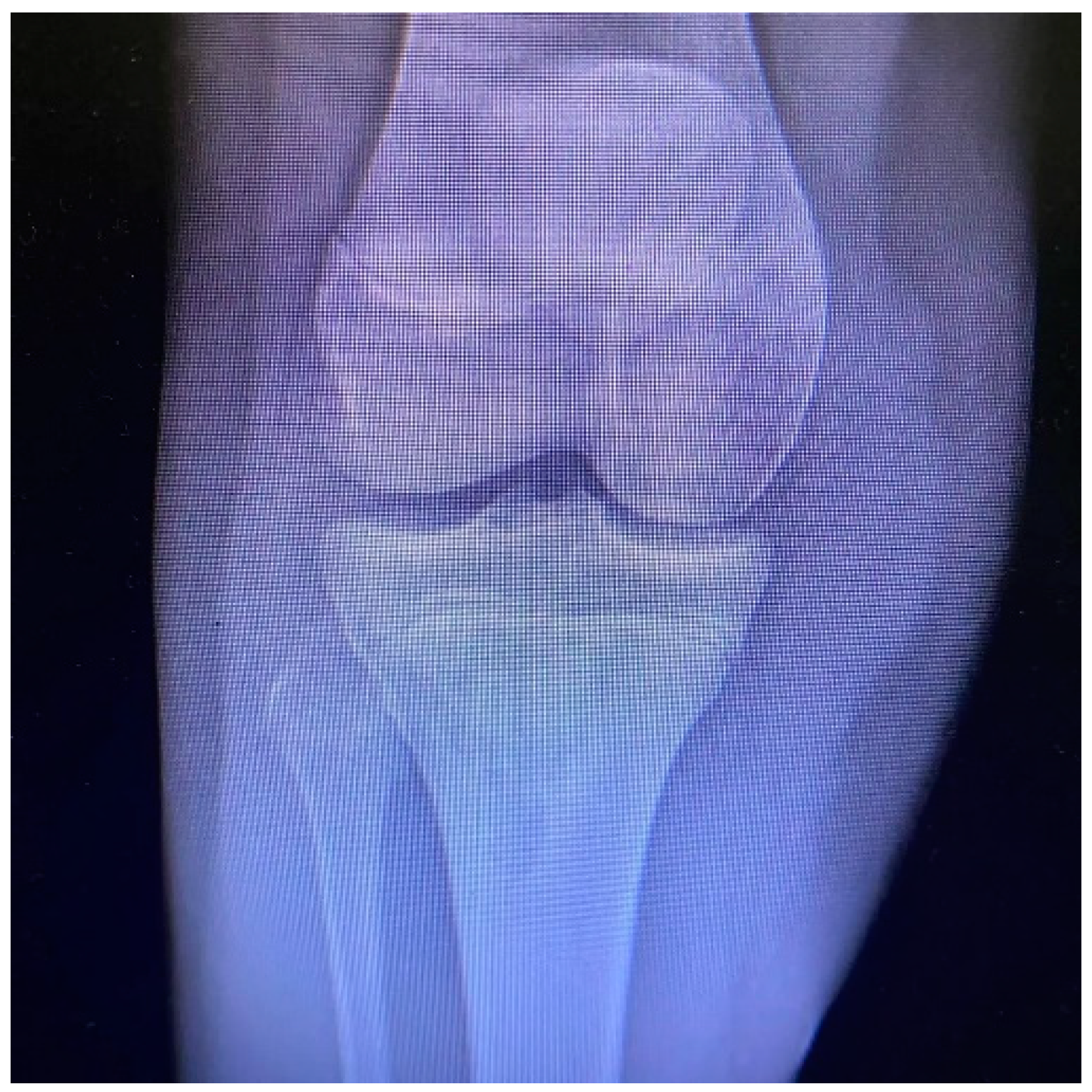 Children 12 00533 g002