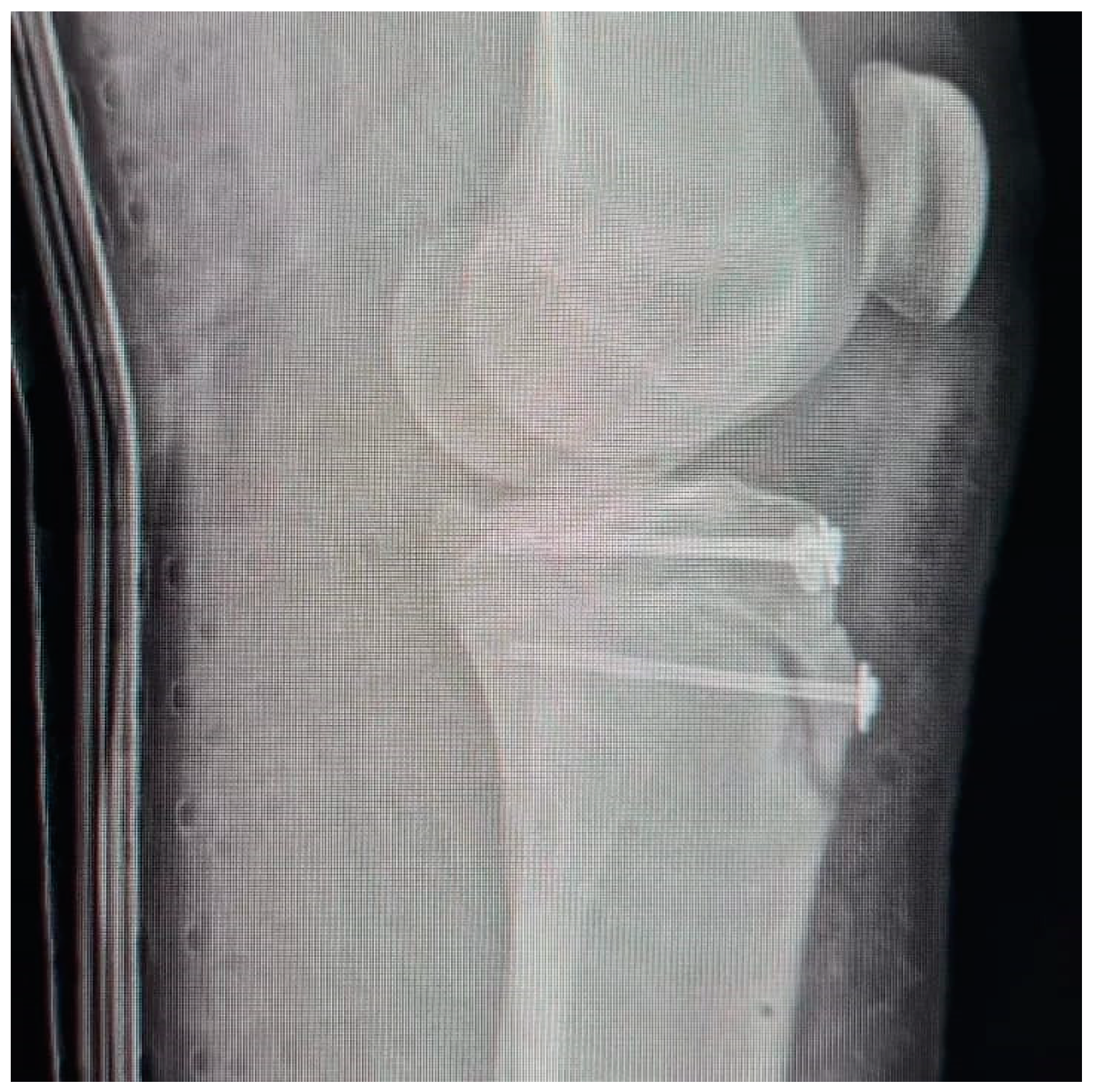 Children 12 00533 g004