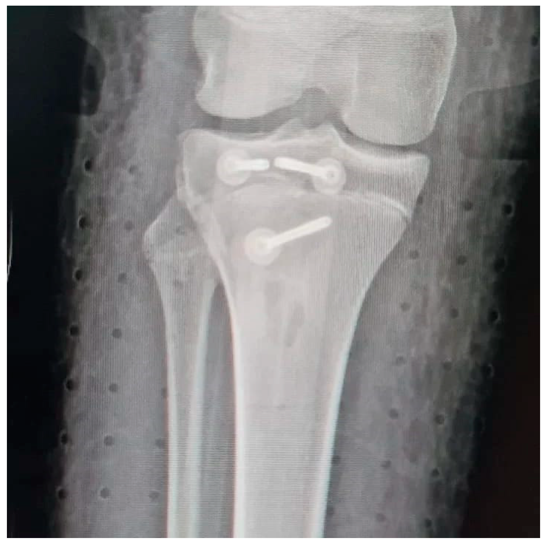 Children 12 00533 g005