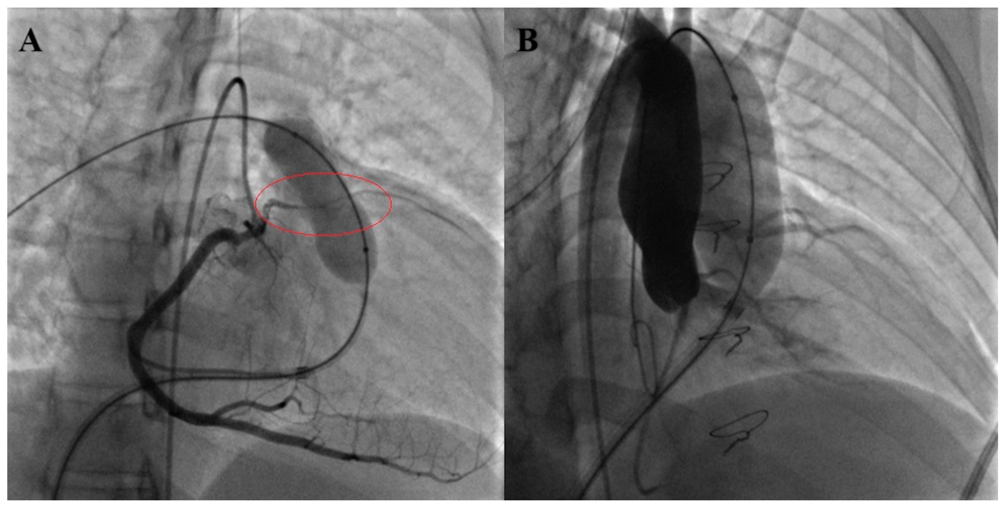 Children 12 00547 g006