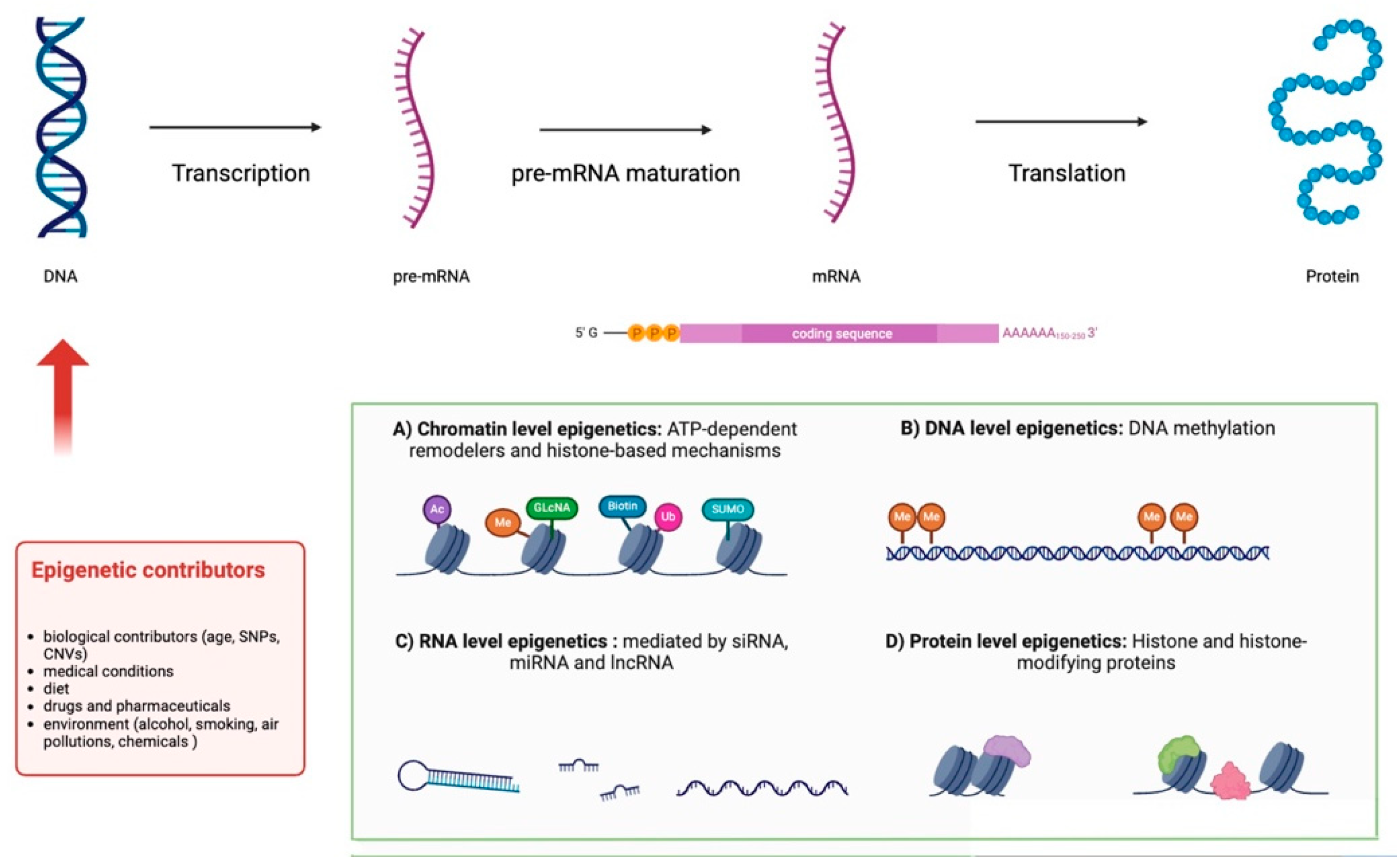 Children 12 00611 g002