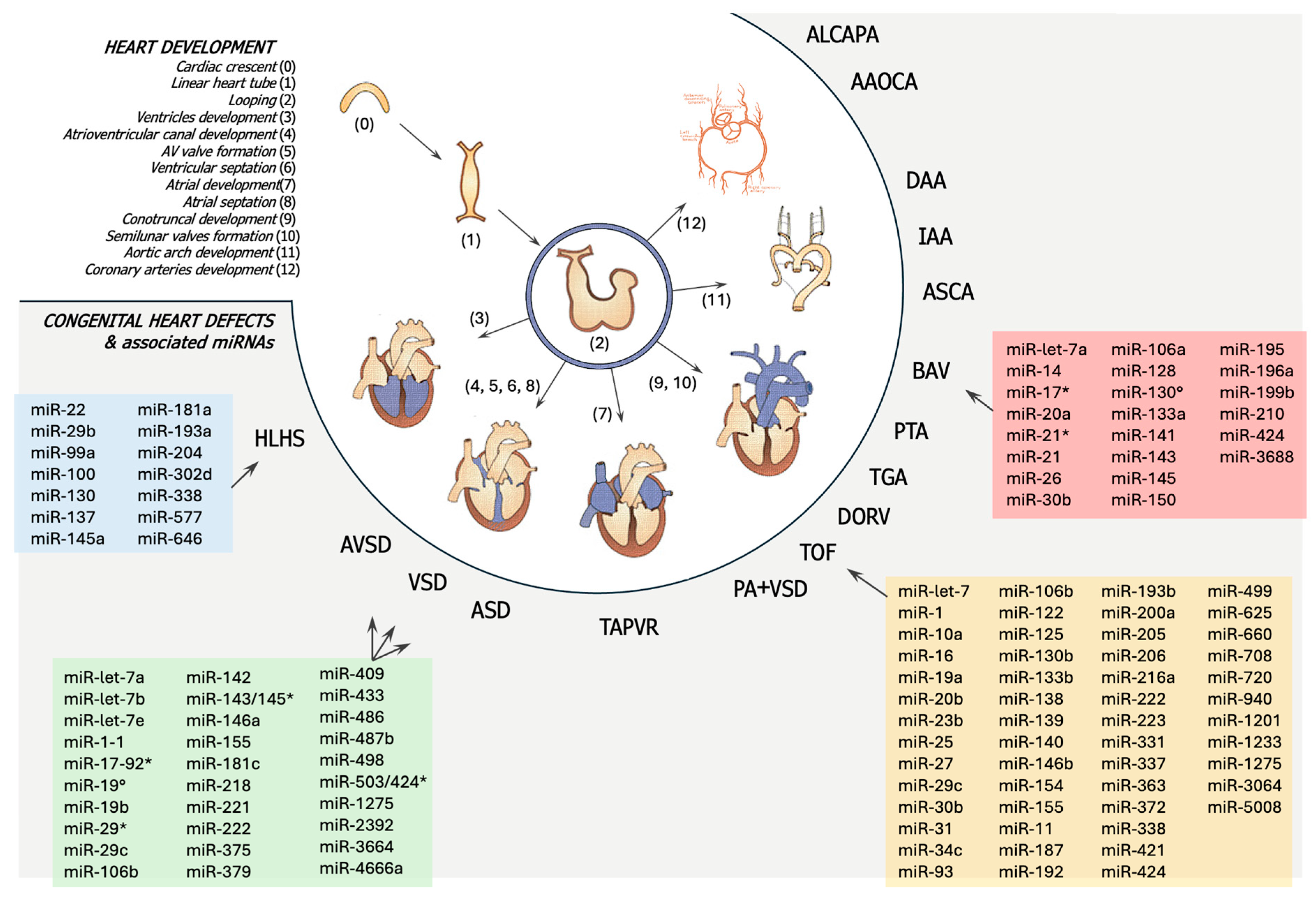 Children 12 00611 g003