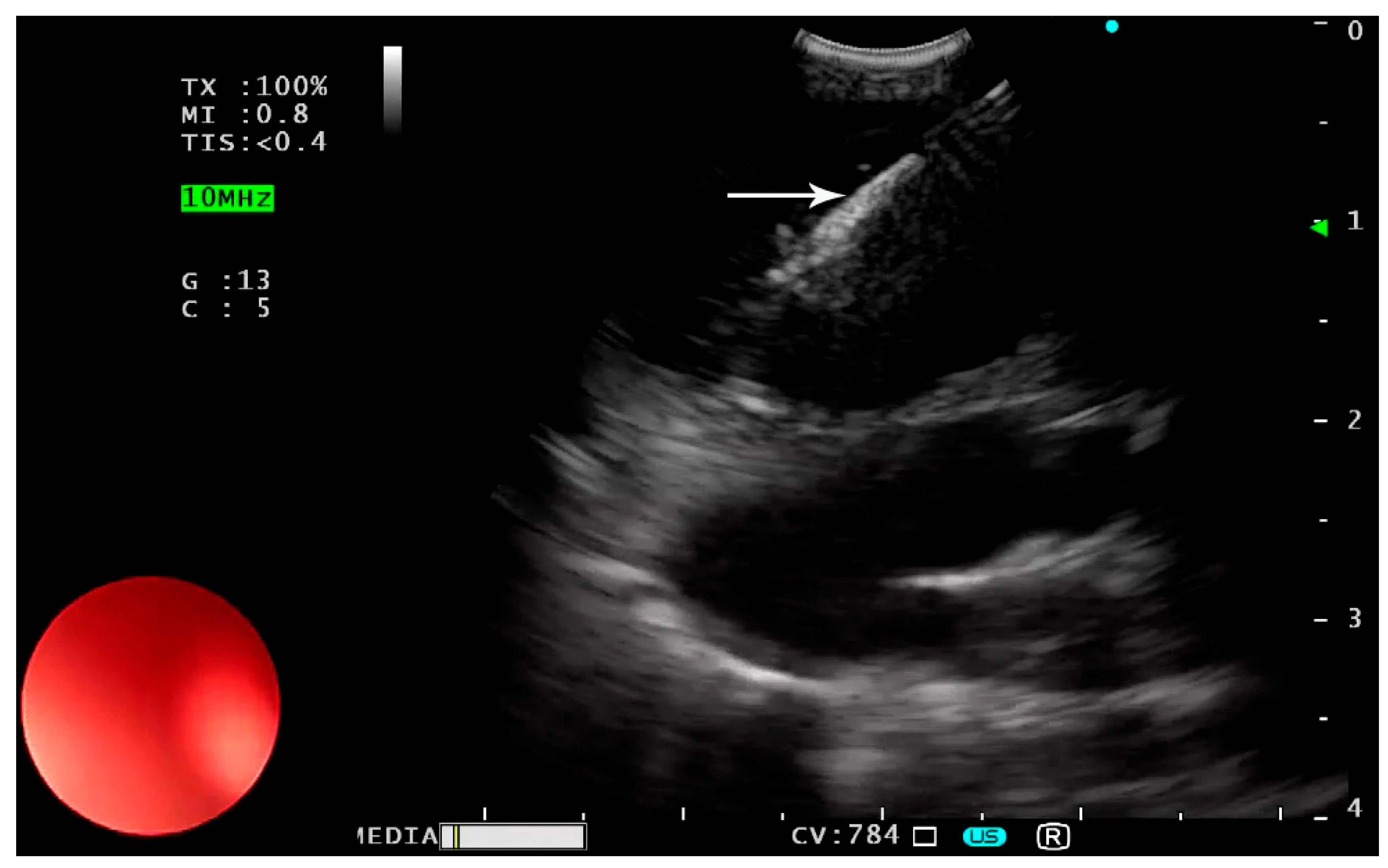 Children 12 00618 g002