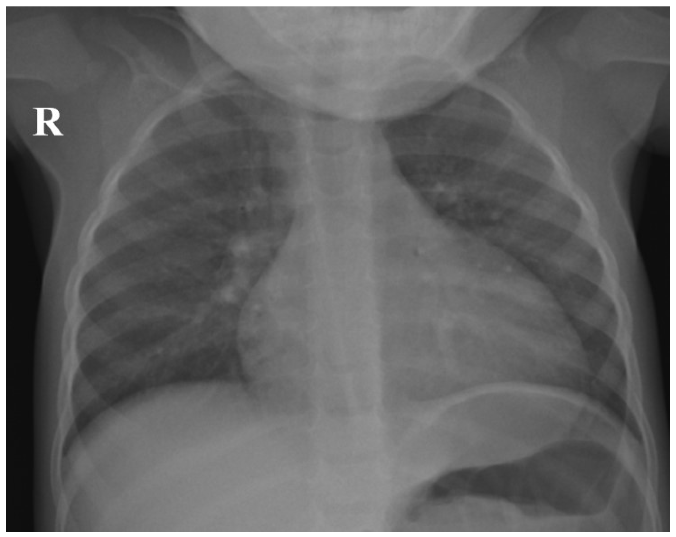 Children 12 00632 g001 Children 12 00632 g001