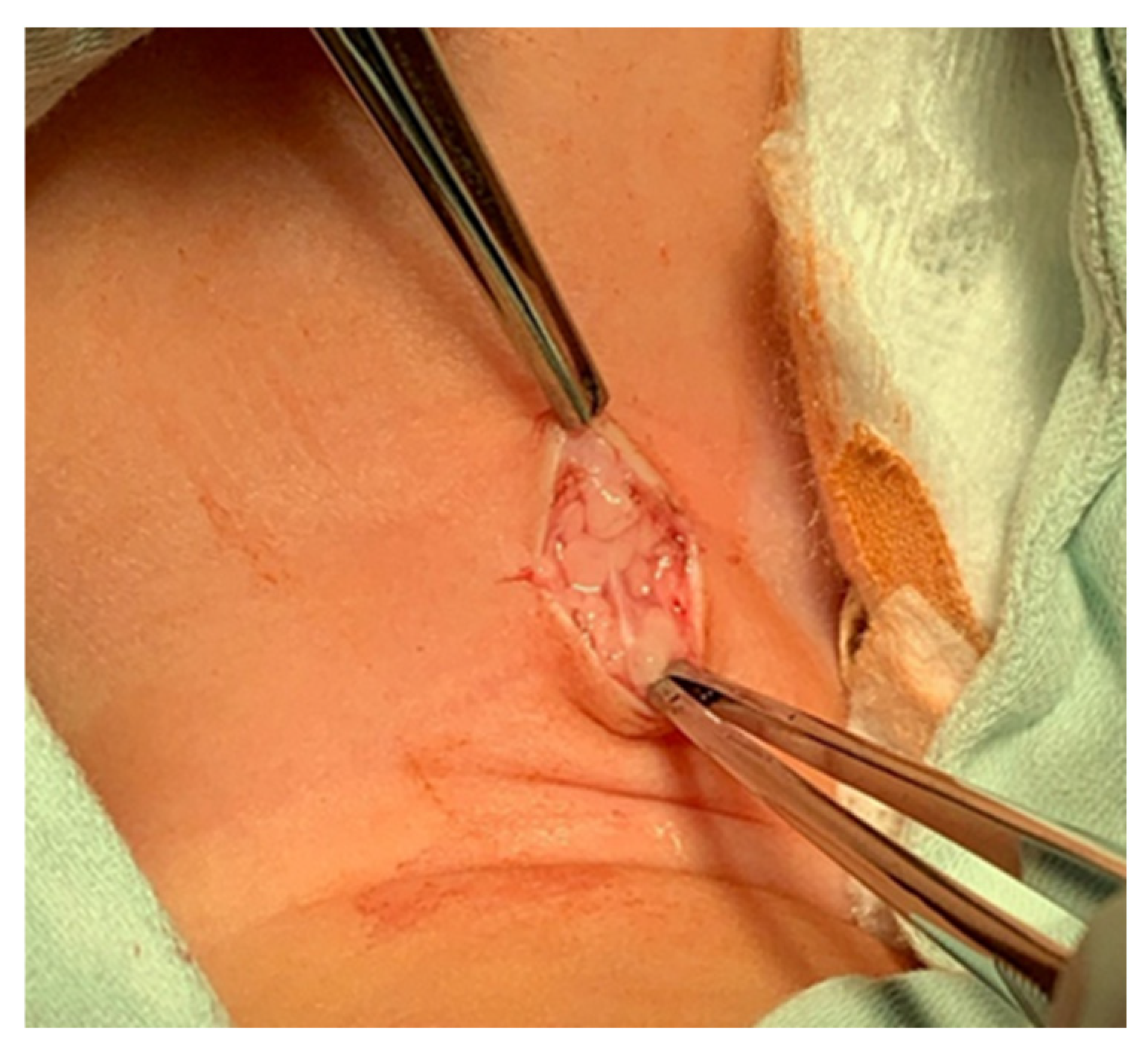 Children 12 00637 g001