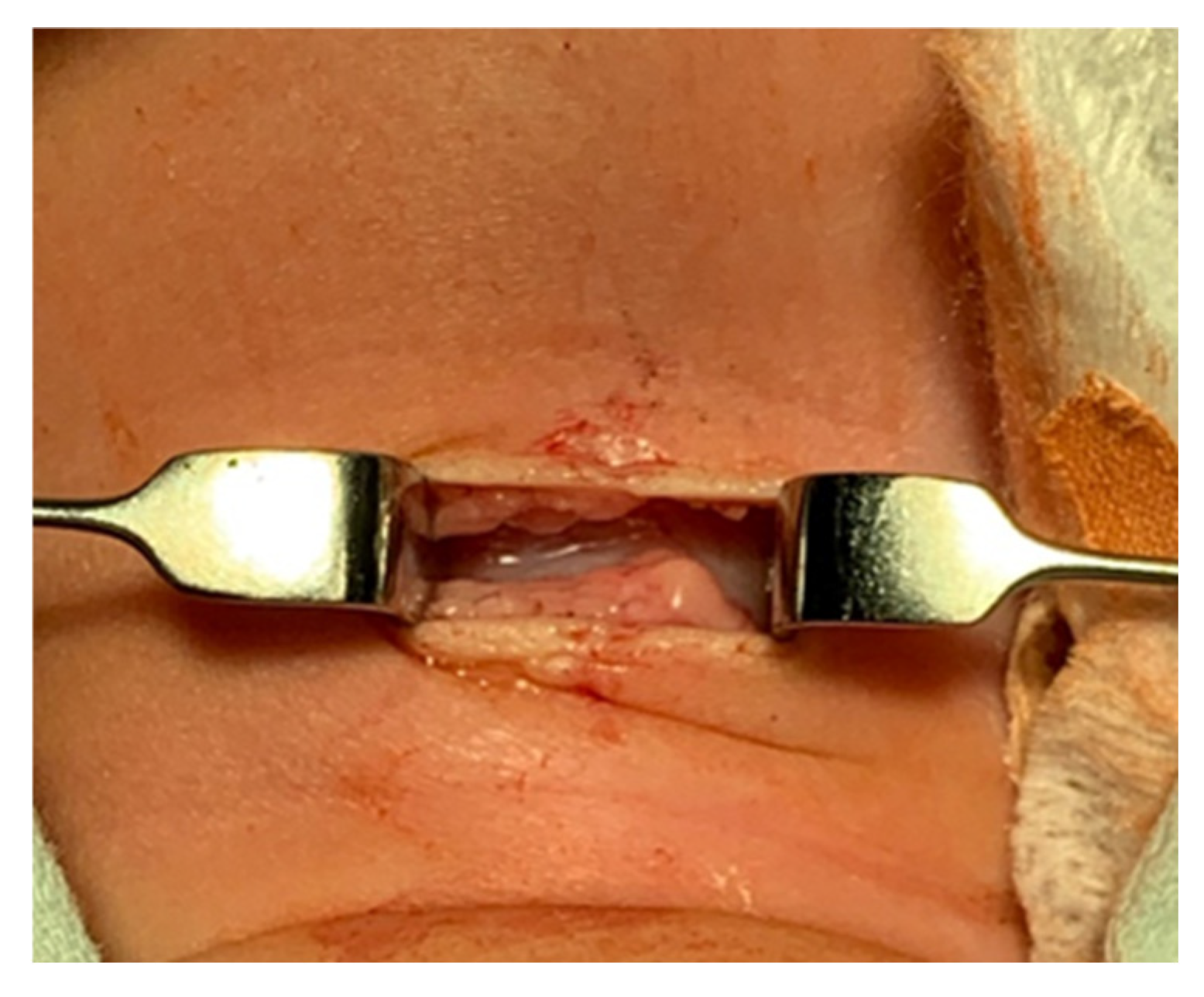 Children 12 00637 g003