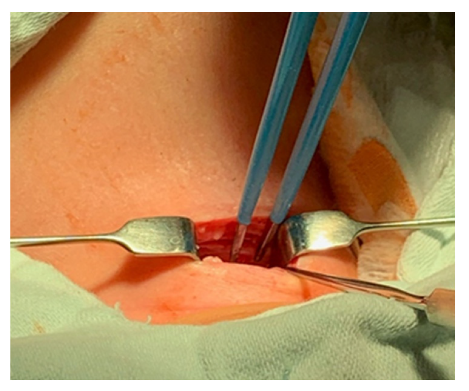 Children 12 00637 g004