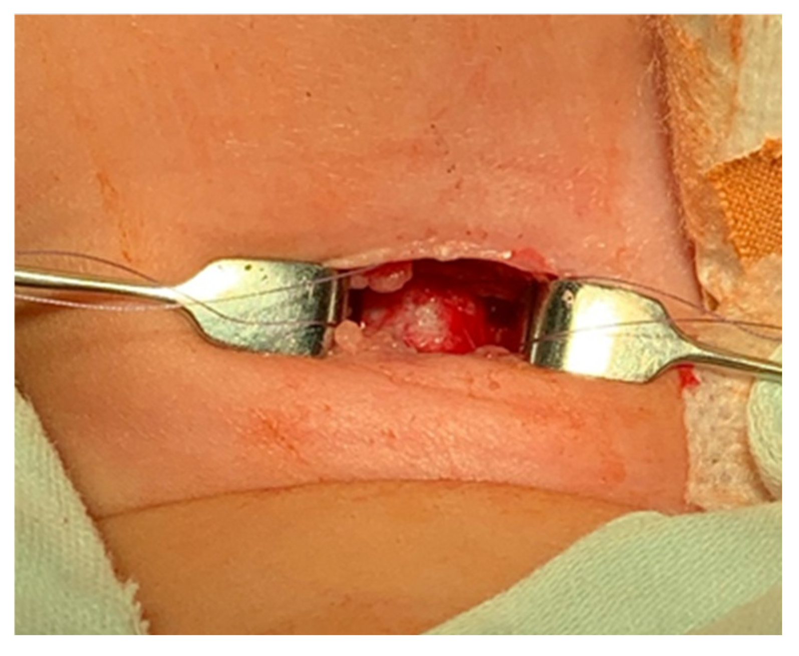 Children 12 00637 g005