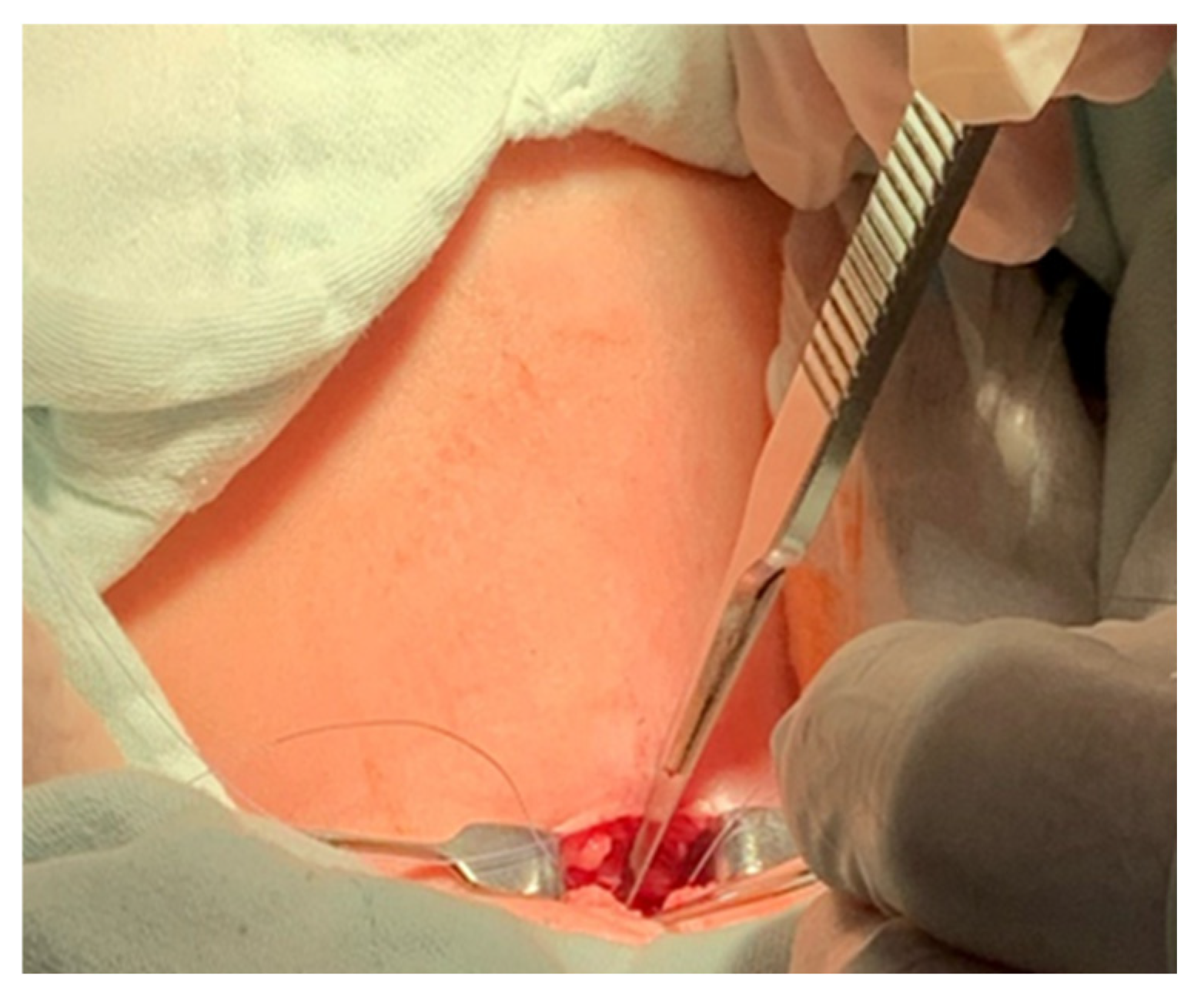 Children 12 00637 g006